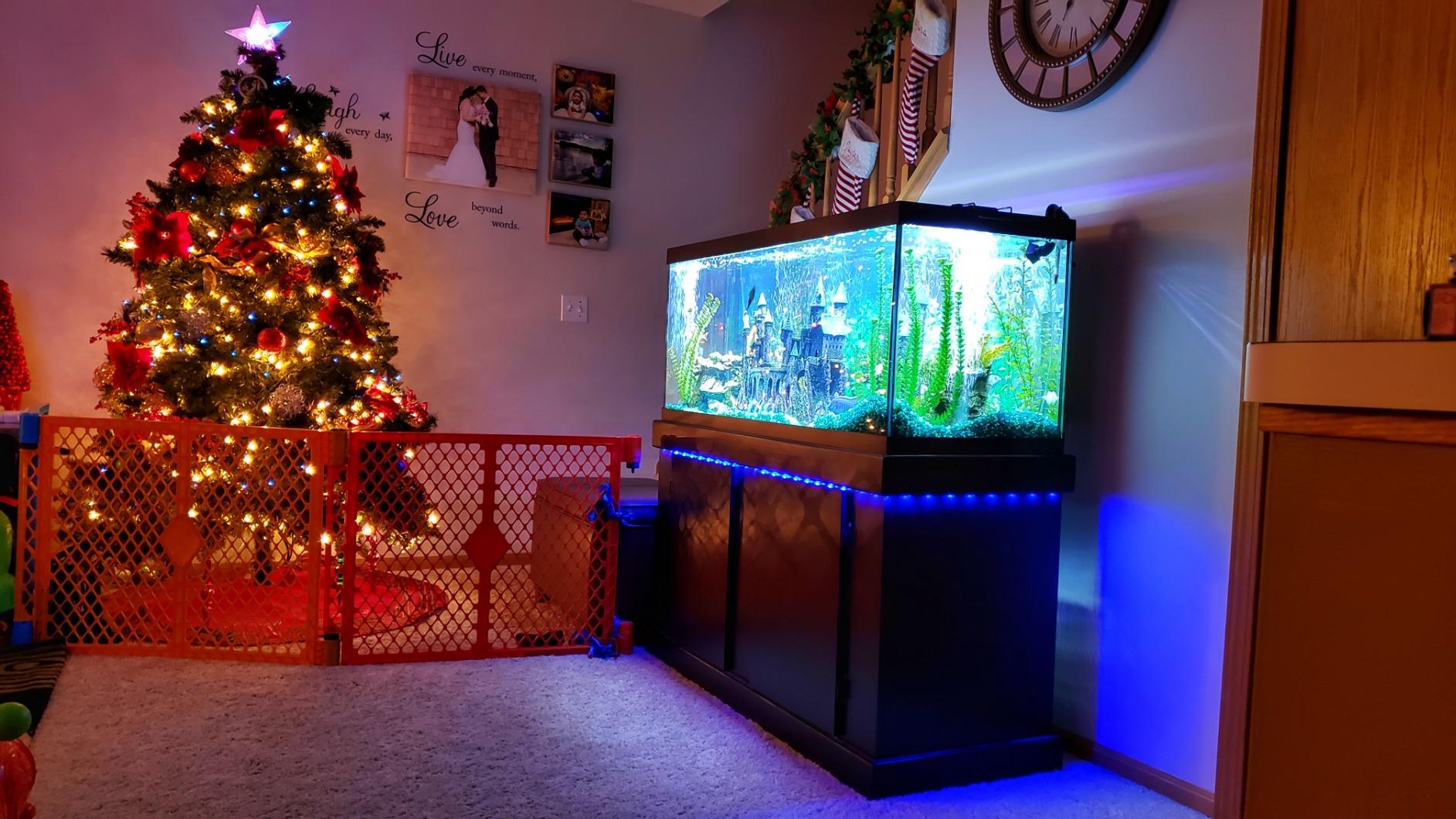 BASON LIGHTING TV LED Backlight, 14.76ft USB Led Lights Strip for 60-70 TV/Monitor Backlight, LED TV Lights with Remote, 4096 DIY Colors TV Bias Lighting for HDTV, PC, Updated. customer photo 1