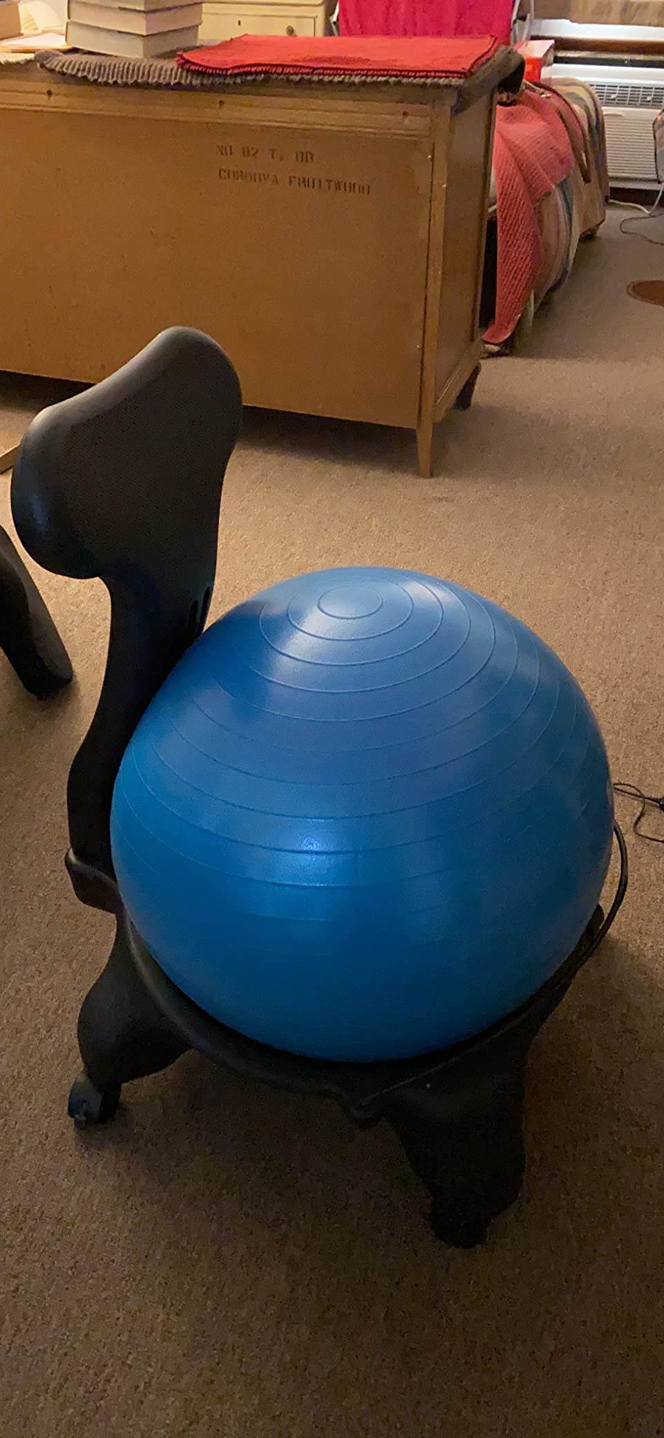 Gaiam Kids Balance Ball, 45cm customer photo 1
