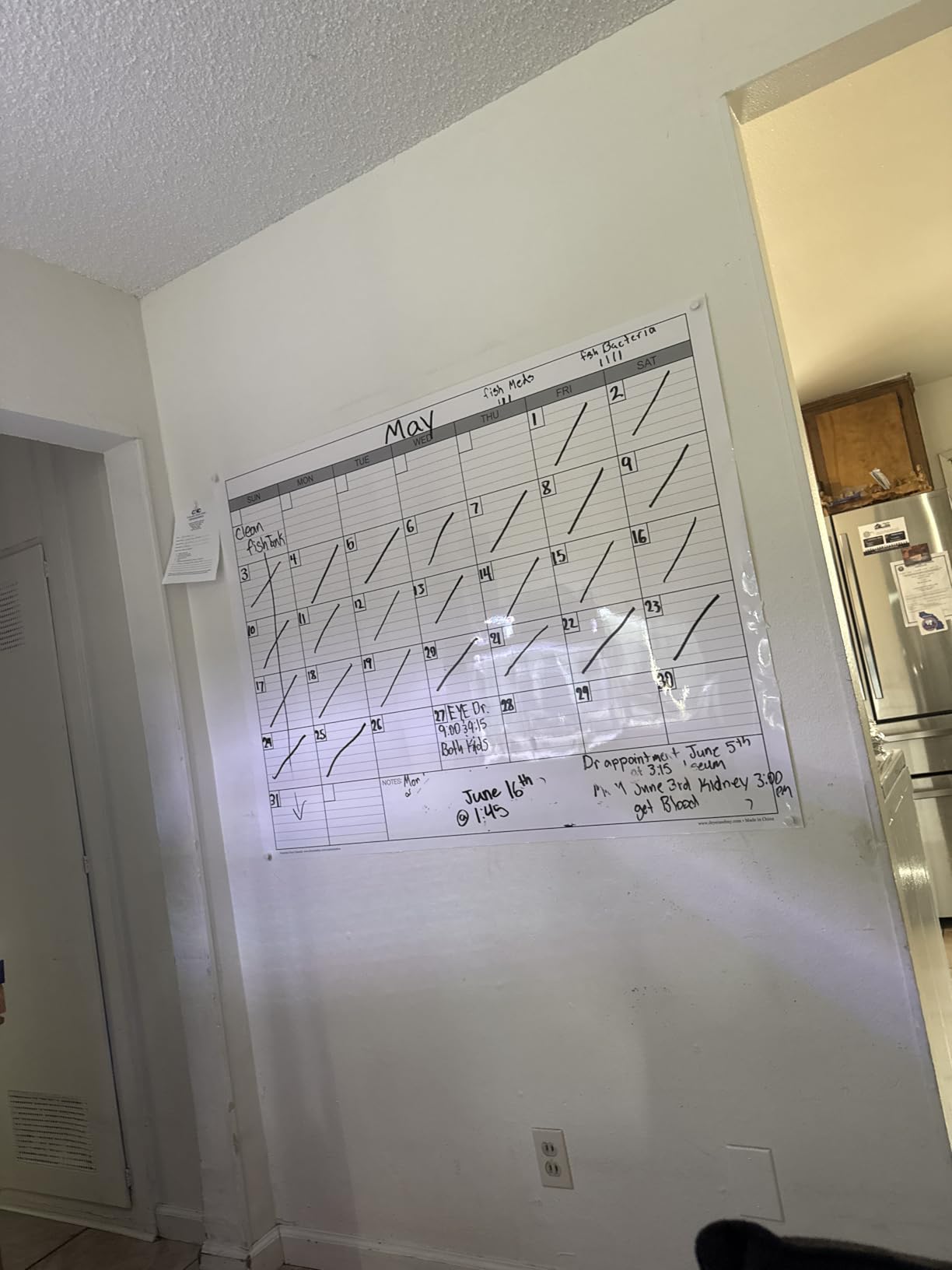 Dry Erase Monthly Extra Large White Board Calendar for Wall, 38