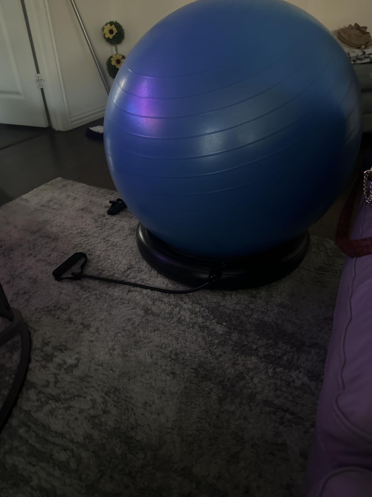 ProBody Pilates Yoga Ball Chair, Exercise Ball Chair with Base or Stand for Home Office Desk Sitting or Workout, 65cm Antiburst Balance & Stability Ball Seat, Large Gym Ball for Back, Abs customer photo 2