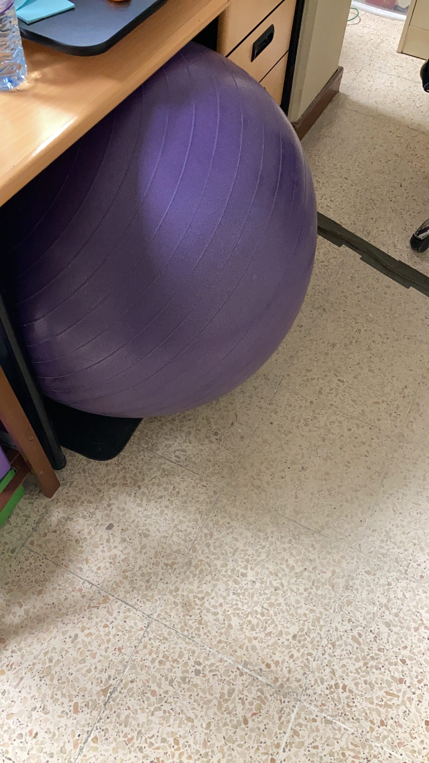 Gaiam Essentials Balance Ball & Base Kit, Yoga Ball Chair, Exercise Ball with Inflatable Ring Base for Home or Office Desk customer photo 1
