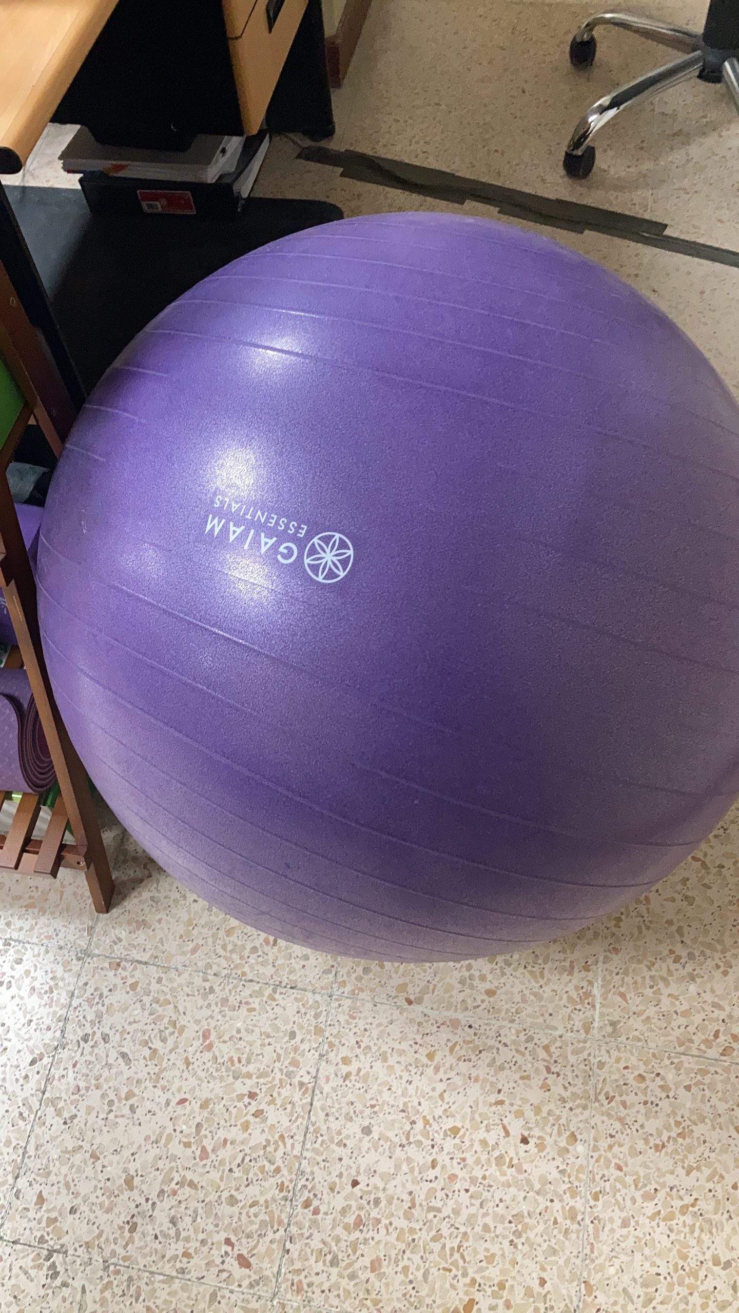 Gaiam Essentials Balance Ball & Base Kit, Yoga Ball Chair, Exercise Ball with Inflatable Ring Base for Home or Office Desk customer photo 2