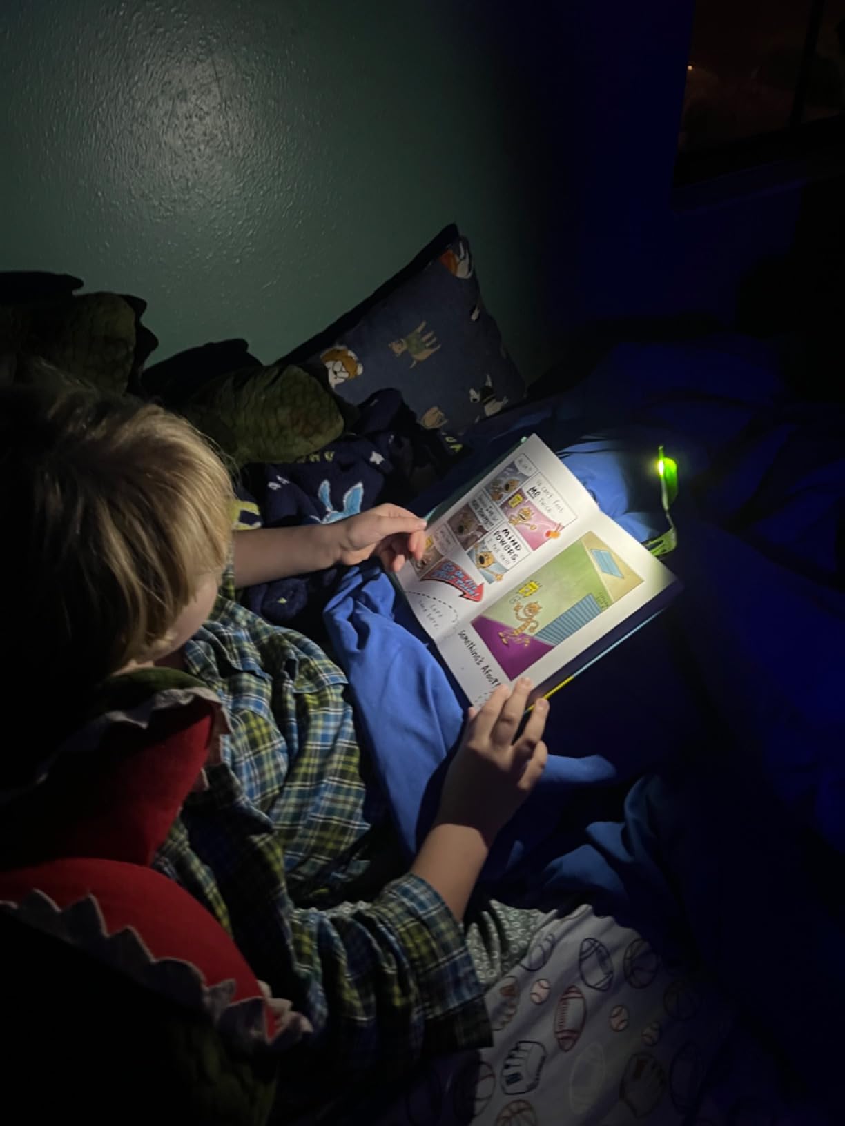 Gifts for Readers & Writers Book Light for Kids, Clip On Reading Light for Bed, 2in1 Flexilight Pals & Bookmark, Small & Lightweight with a Soft Glow, 2 Batteries Included, Owl customer photo 1