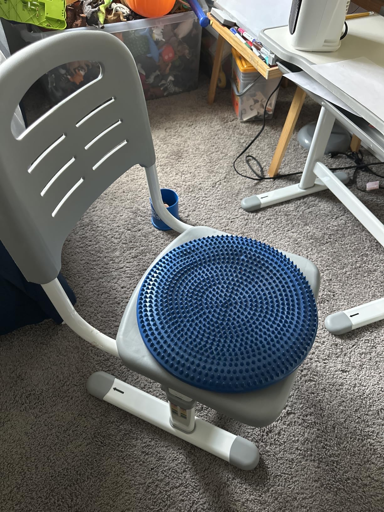 Primasole Balance disc 1 PC Comes with an air Pump Exercise Disk for Stability Workout customer photo 1