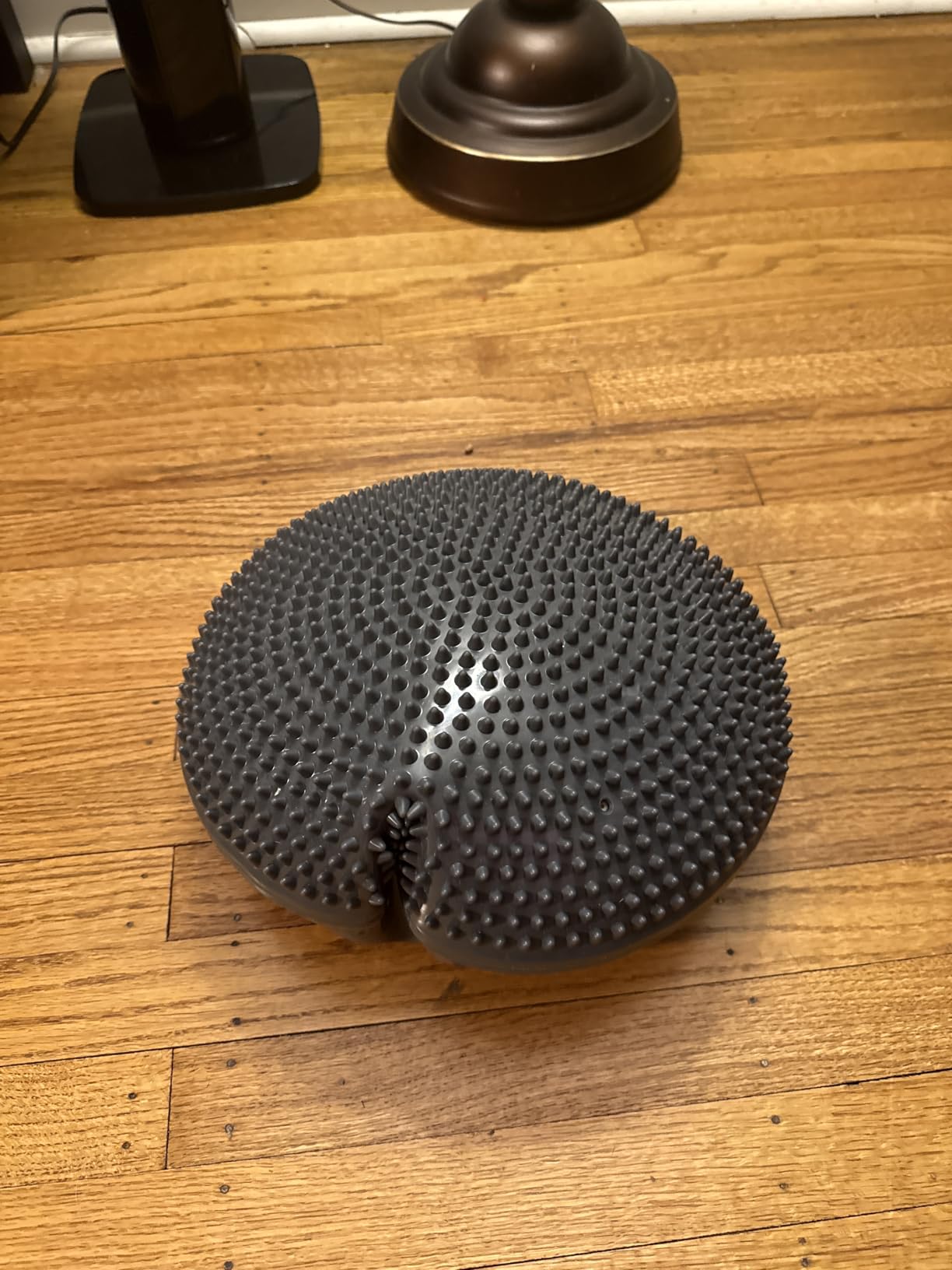 Primasole Balance disc 1 PC Comes with an air Pump Exercise Disk for Stability Workout customer photo 2