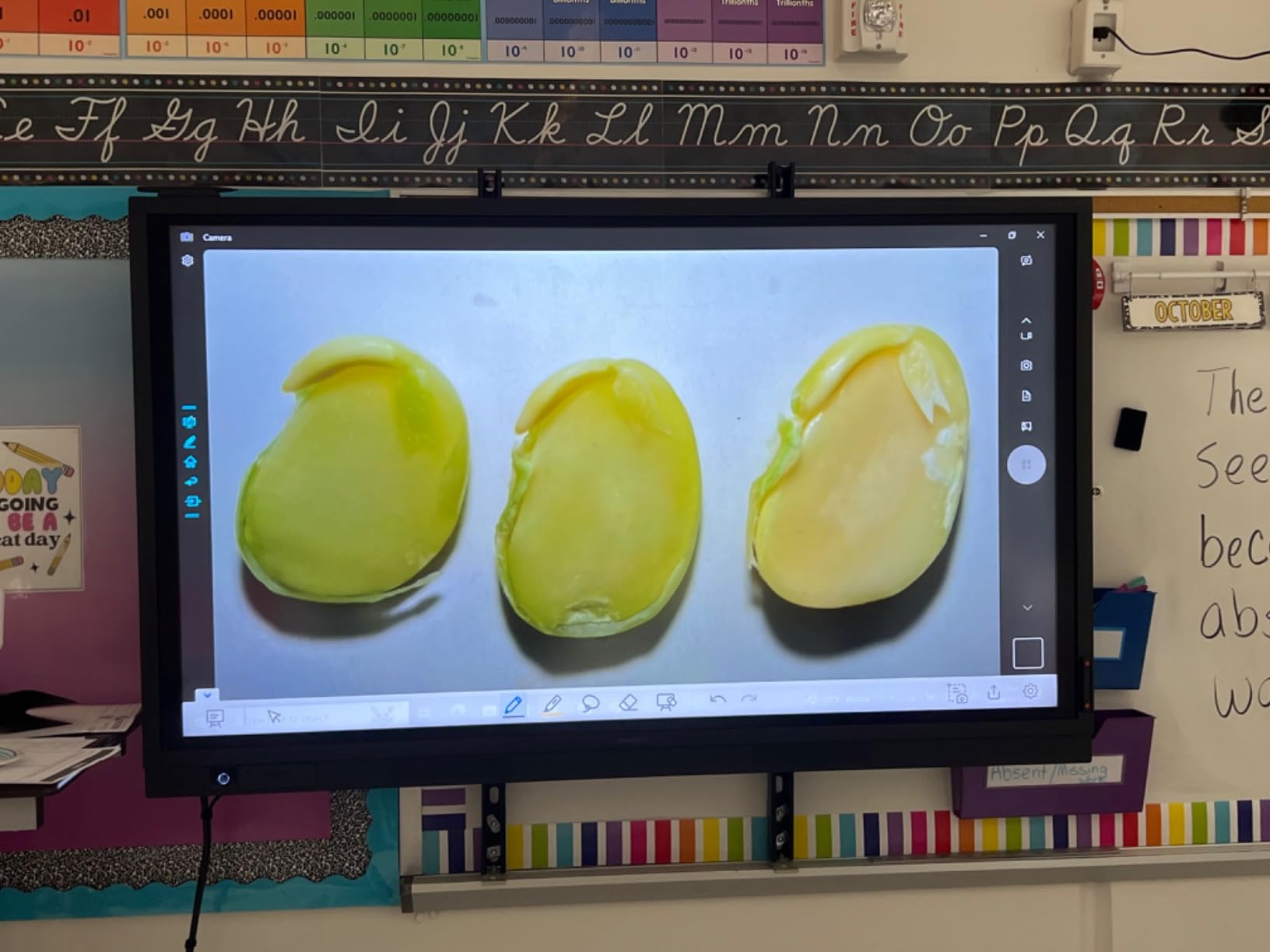 INSWAN INS-2 4K USB Document Camera - 13MP, Dual Auto-Focus, LED Light and Microphone, A3 Capture customer photo 1