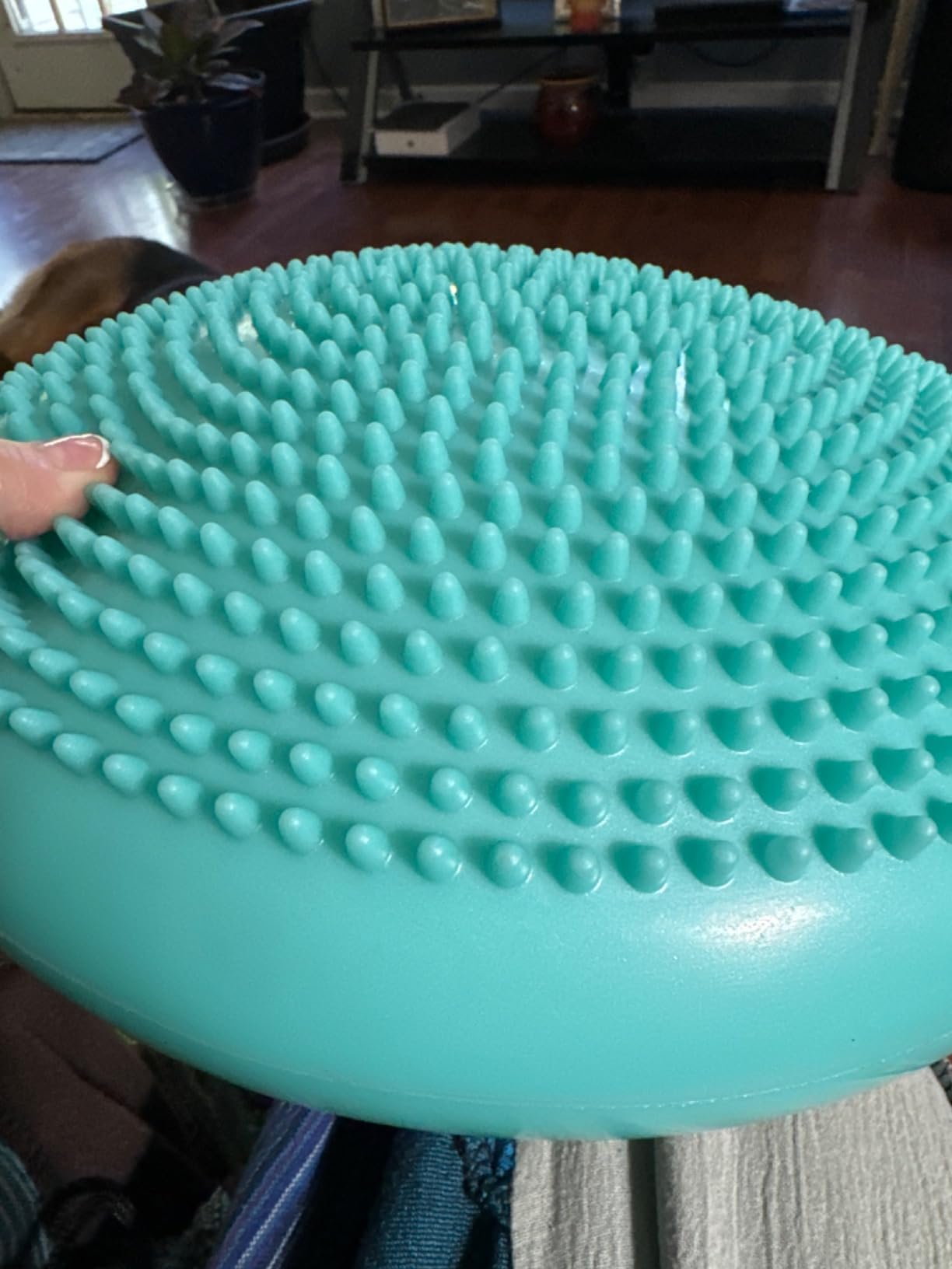 RFAQK Inflated Air Stability Wobble Cushion - Wiggle Seat to Improve Sitting Posture & Attention, Stability Balance Disc for Physical Therapy Exercise [Extra Thick, Pump, Bag, E-Book Included] customer photo 1