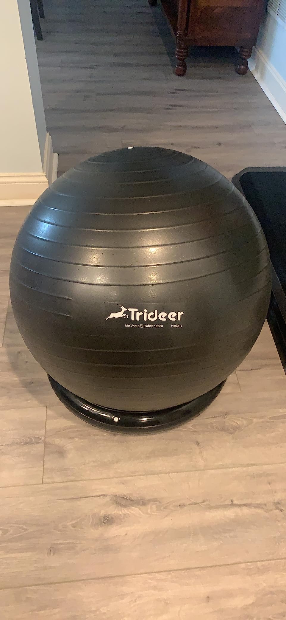 Trideer Exercise Ball Chair with Base & Resistance Bands for Home Gym, Stability Ball Seat for Core Workout and Back Support customer photo 2