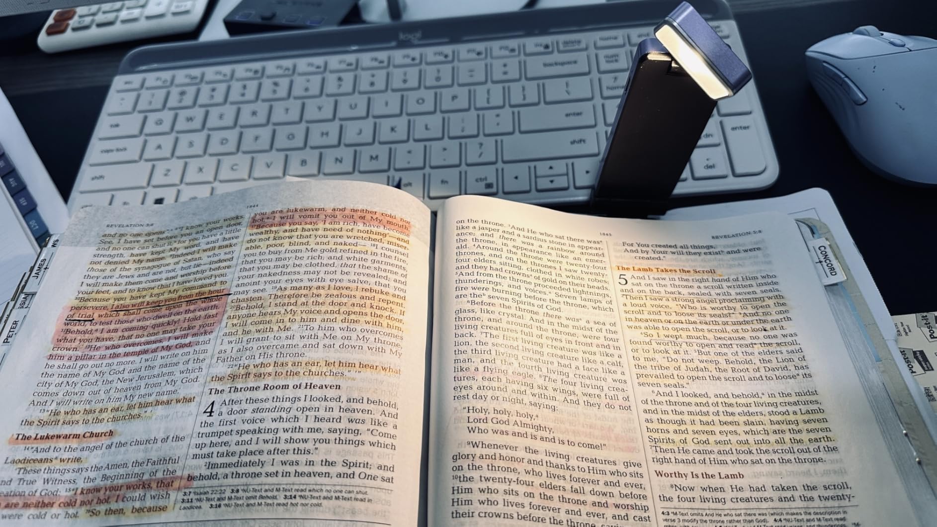 86lux Book Light, Rechargeable Clip-On LED Reading Light for Bed & Night Use - 3 Color Temperatures with Stepless Dimming, Ultralight Bookmark Design for Kids, Book Lovers, Grey customer photo 1