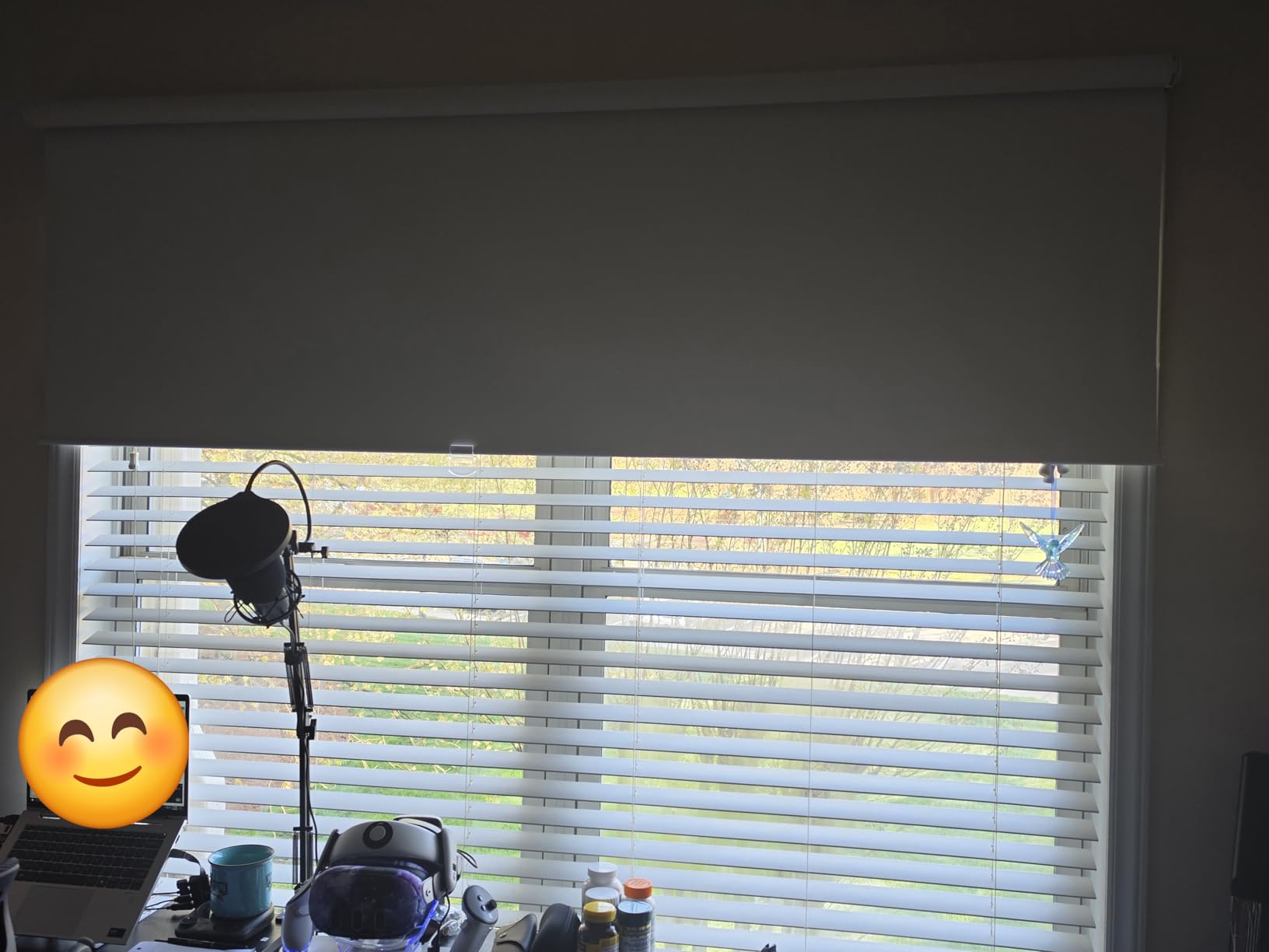 AOSKY Cordless Roller Shades Blackout Blinds for Windows Room Darkening Rolled Up Shades with Spring System, UV Protection Window Shades Door Blinds for Home and Office (23