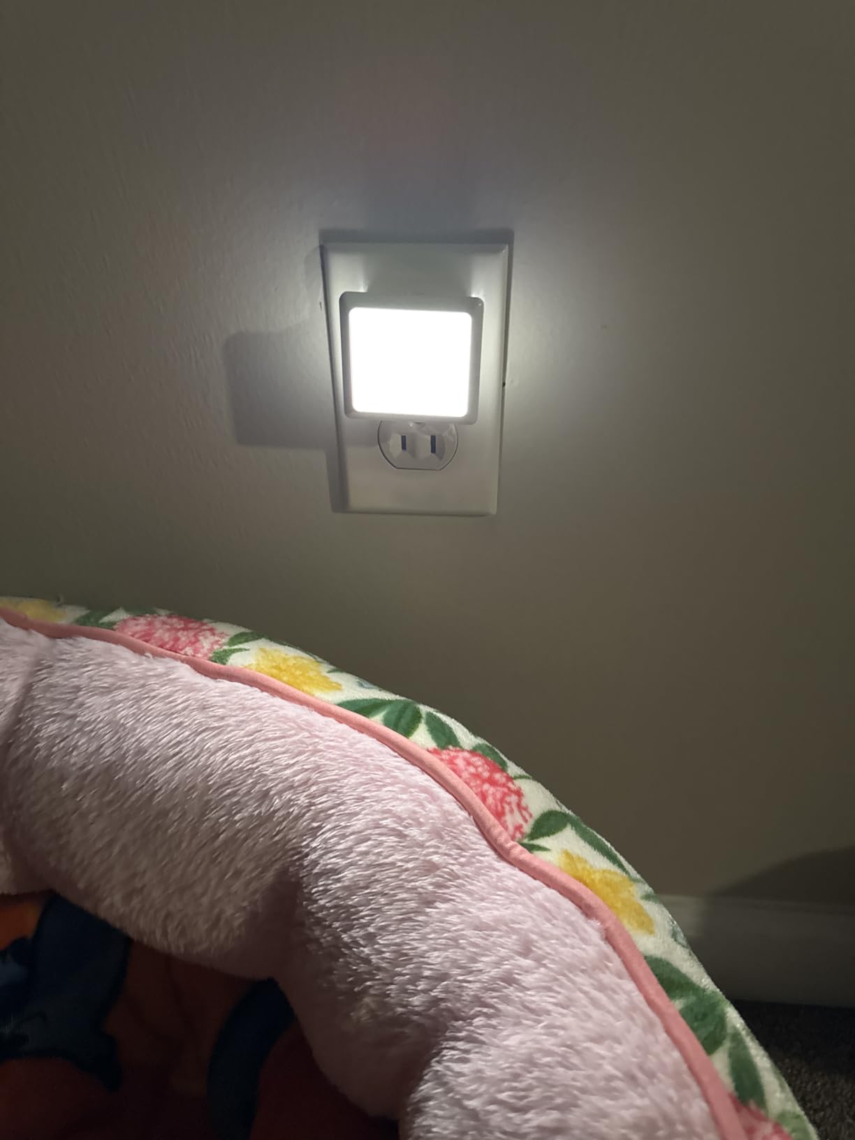 L LOHAS LED Night Lights Plug into Wall 2-Pack, 0.3W Plug in Night Light, Dusk to Dawn, 3000K Soft White, Bright Nightlight Auto-On/Off, for Adults Kids Room Bedroom Bathroom Hallway Kitchen, Non-Dim customer photo 2