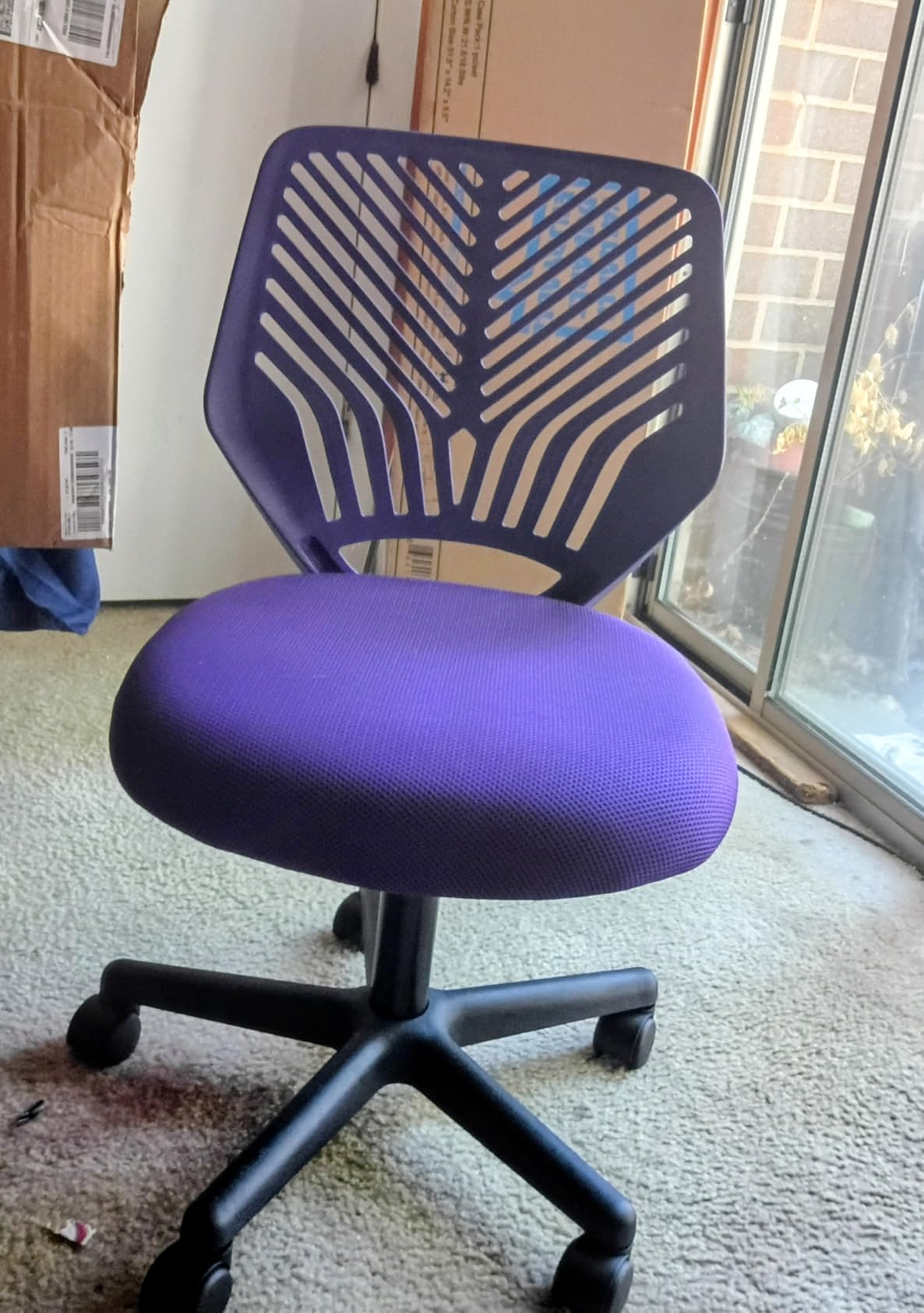 Yaheetech Kids Cute Desk Chair Armless Small Computer Chair with Lumbar Support for Teens Low-Back Bedroom School, Green customer photo 1