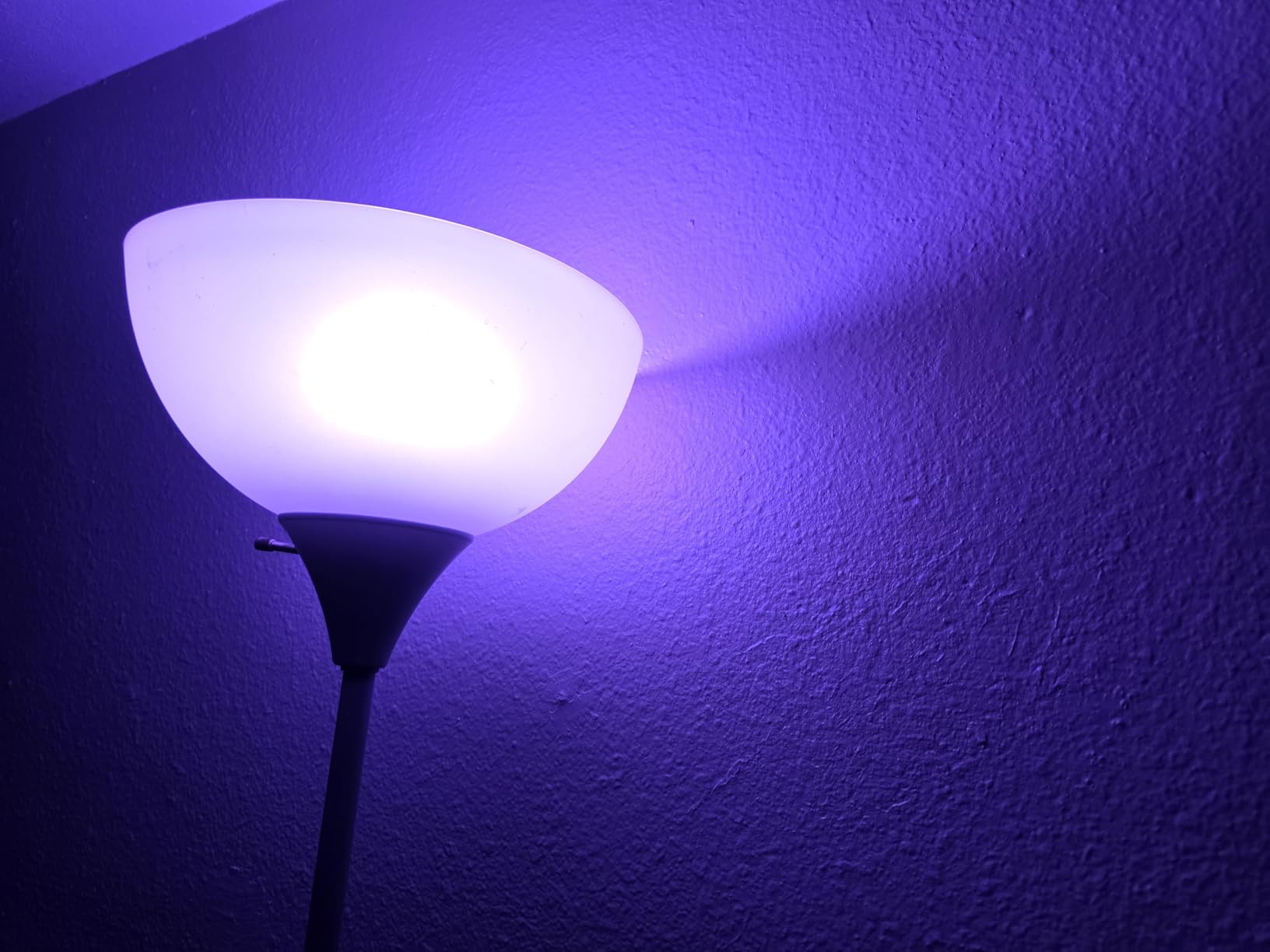Govee LED Smart Light Bulbs, 1000LM RGBWW A19 75W E26 Base 2 Pack | Color Changing Light Bulb, Work with Matter Alexa and Google Assistant, Smart Bulbs for Bedroom, Living Room customer photo 1