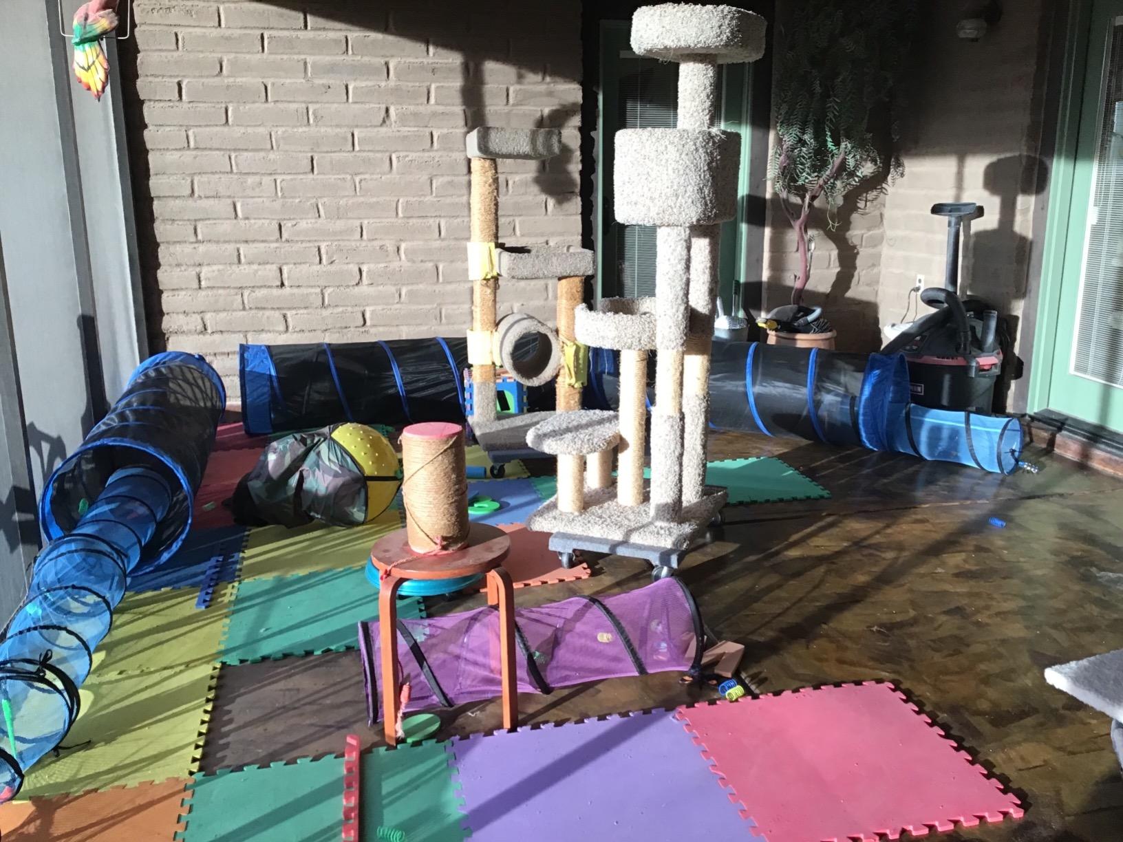 Pacific Play Tents Primary Play Tunnel 20401 customer photo 2