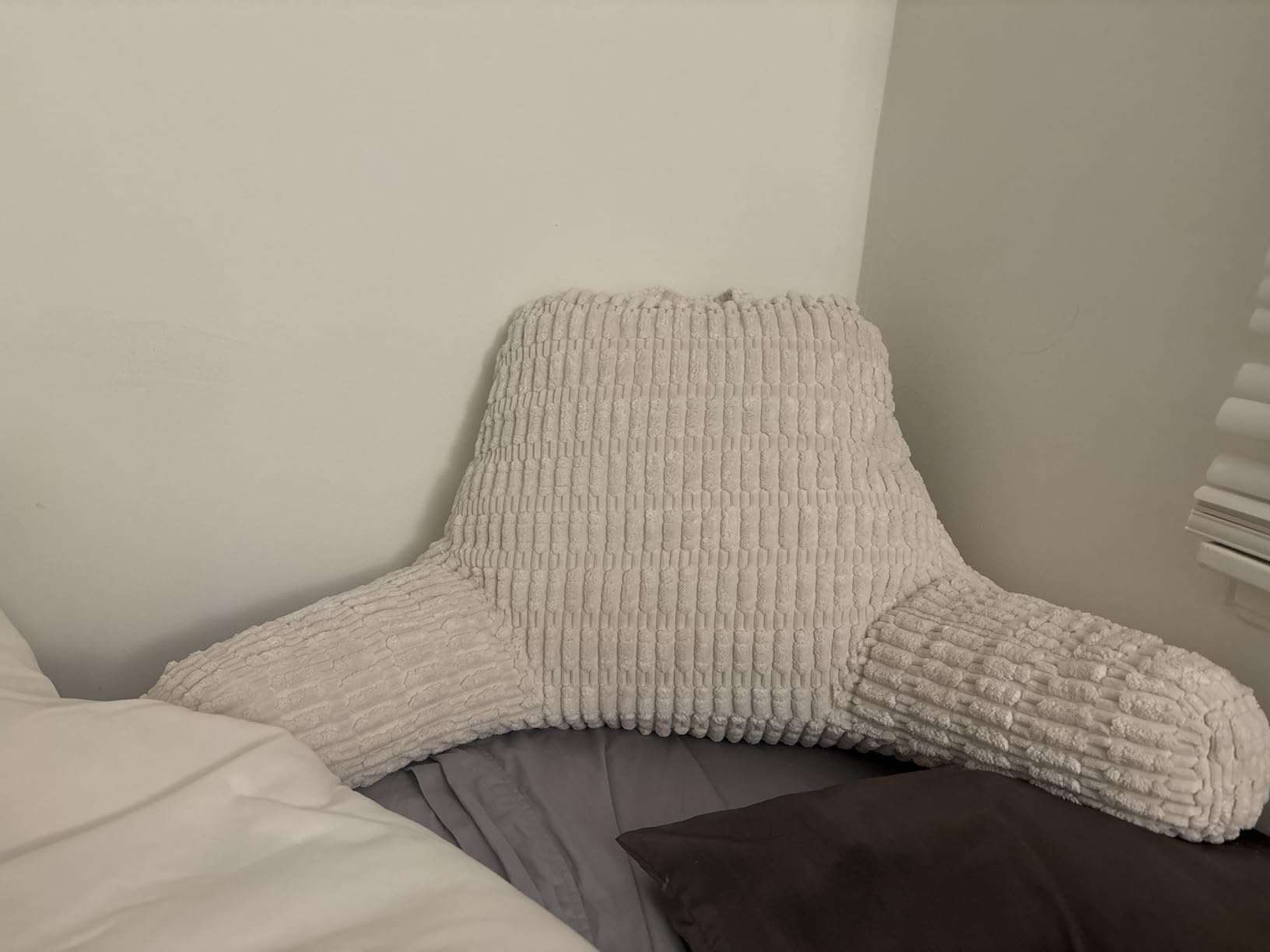 Blissful Diary Reading Pillow, Backrest Pillow with Shredded Memory Foam for Adult & Children, Designed for Bed and Couch Sitting Up, Includes Arms, Pockets and Washable Cover, Off White customer photo 1