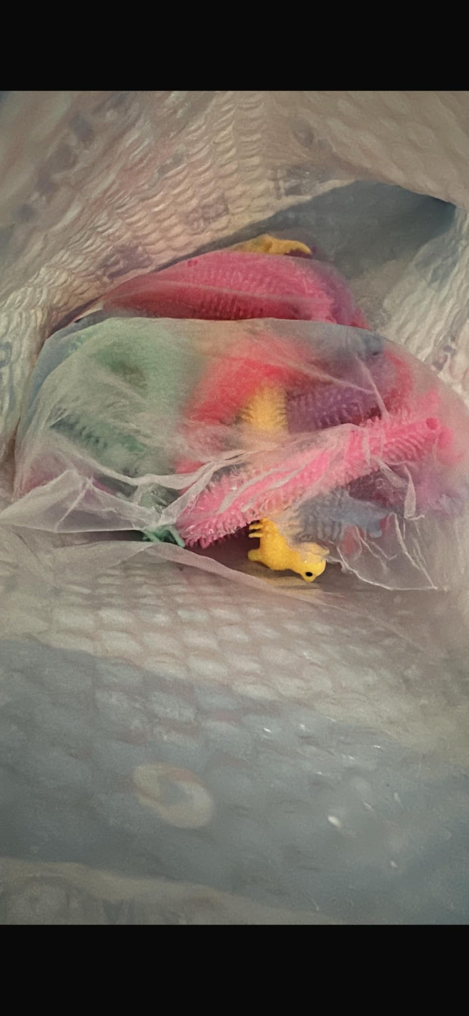YZXODN 30 Pack Stretchy Strings Fidget Toys, Sensory Toys Bulk for Kids, Adults Stress Relief, Anti-Anxiety Autism Toys, Perfect for Easter, Children's Day, Classroom Exchange, Birthday, Party Favors customer photo 1