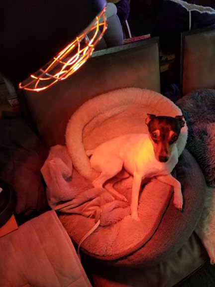 Infrared Light Heat Lamp, Near Red Light Therapy for Body Muscle Joint Pain Relieve 150W Bulb with Adjustable Stand, Timer customer photo 2