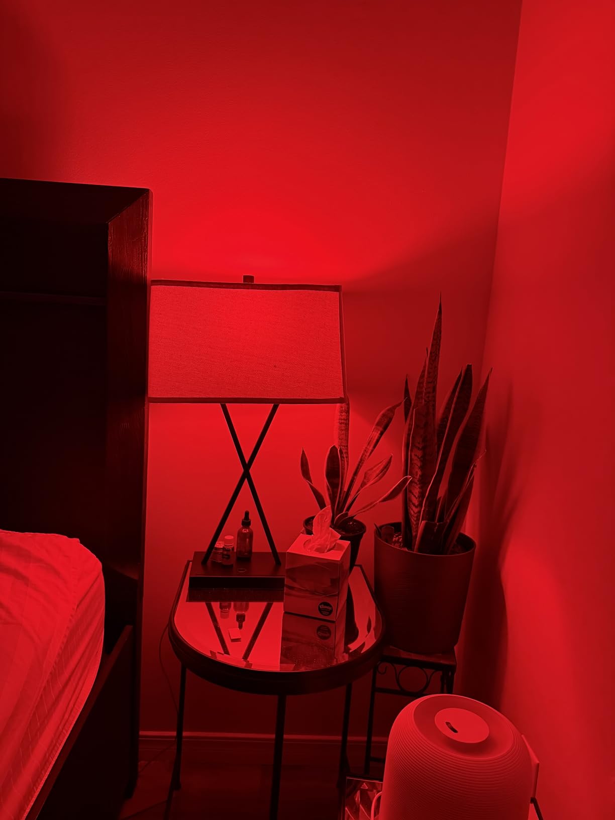 Neporal Red Light Bulbs for Sleep 9W, 100% Blue Light Blocking Red Night Light, 625nm LED Light Bulb for Melatonin Promoting, A19 60W Equivalent, 1 Pack customer photo 2