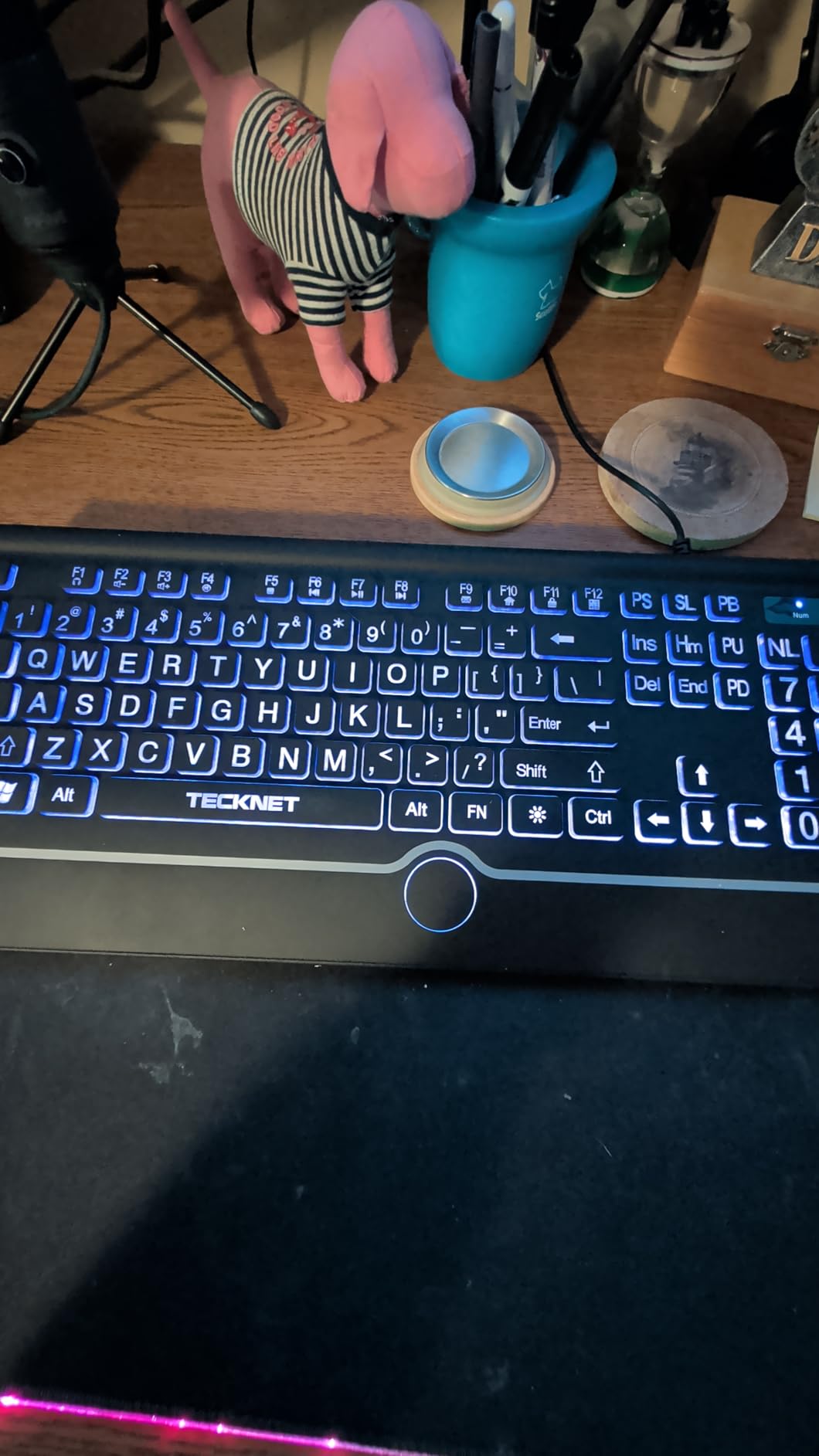 TECKNET Large Print Backlit Keyboard, Wired USB-A Computer Keyboard with Wrist Rest, 7-Color Backlit, Oversized Letter Keys Easy to See, Plug-and-Play, Silent, Light Up Keyboard for Windows/PC/Laptop customer photo 2