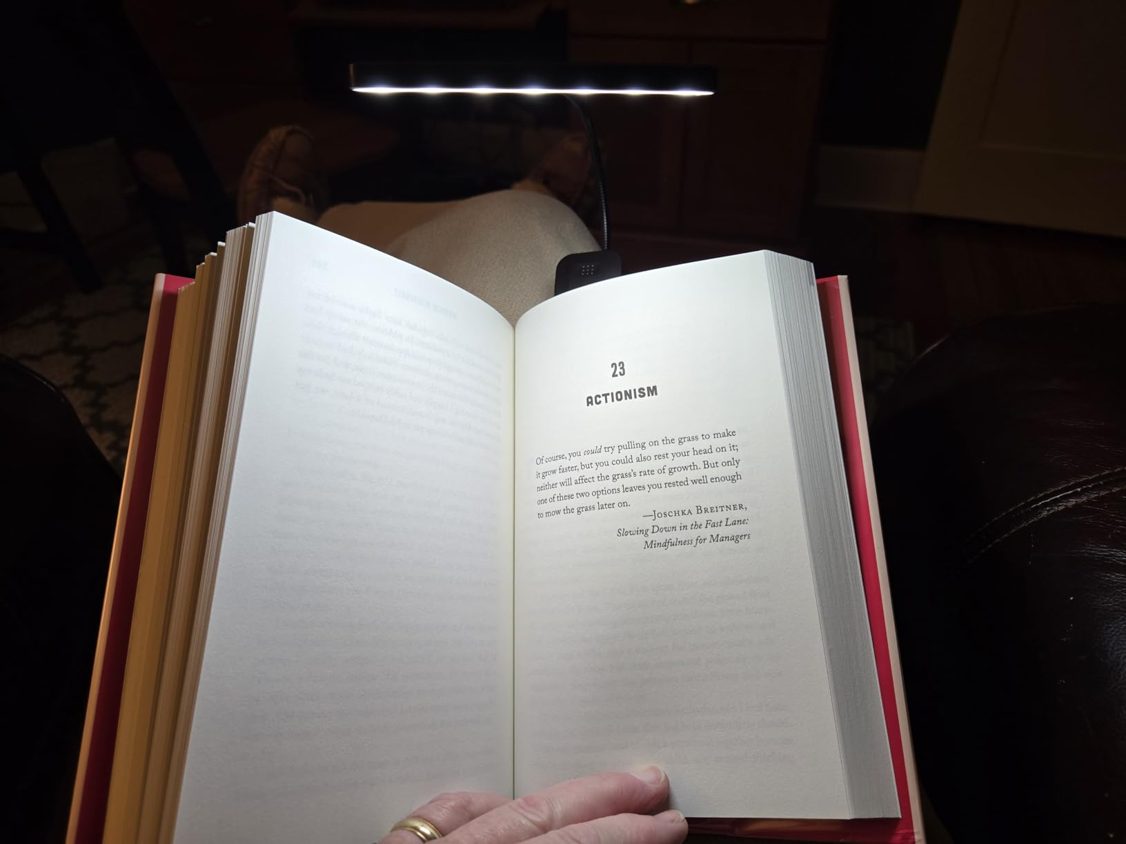 Glocusent 26 LED Rechargeable Book Light for Reading in Bed, Eye-Caring 5 Amber Colors and Stepless Dimming, Lasts 1 Week to a Months, Travel Clip on Lamp Gifts for Book Lovers, Men, Women & Kids customer photo 2