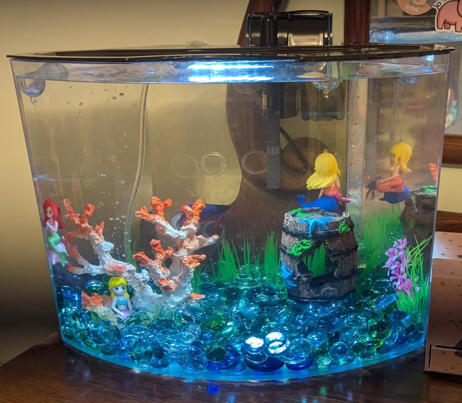 Penn-Plax Cascade 300 Power Filter - Hang-On Filter with Quad Filtration - Great for Freshwater and Saltwater Setups customer photo 2
