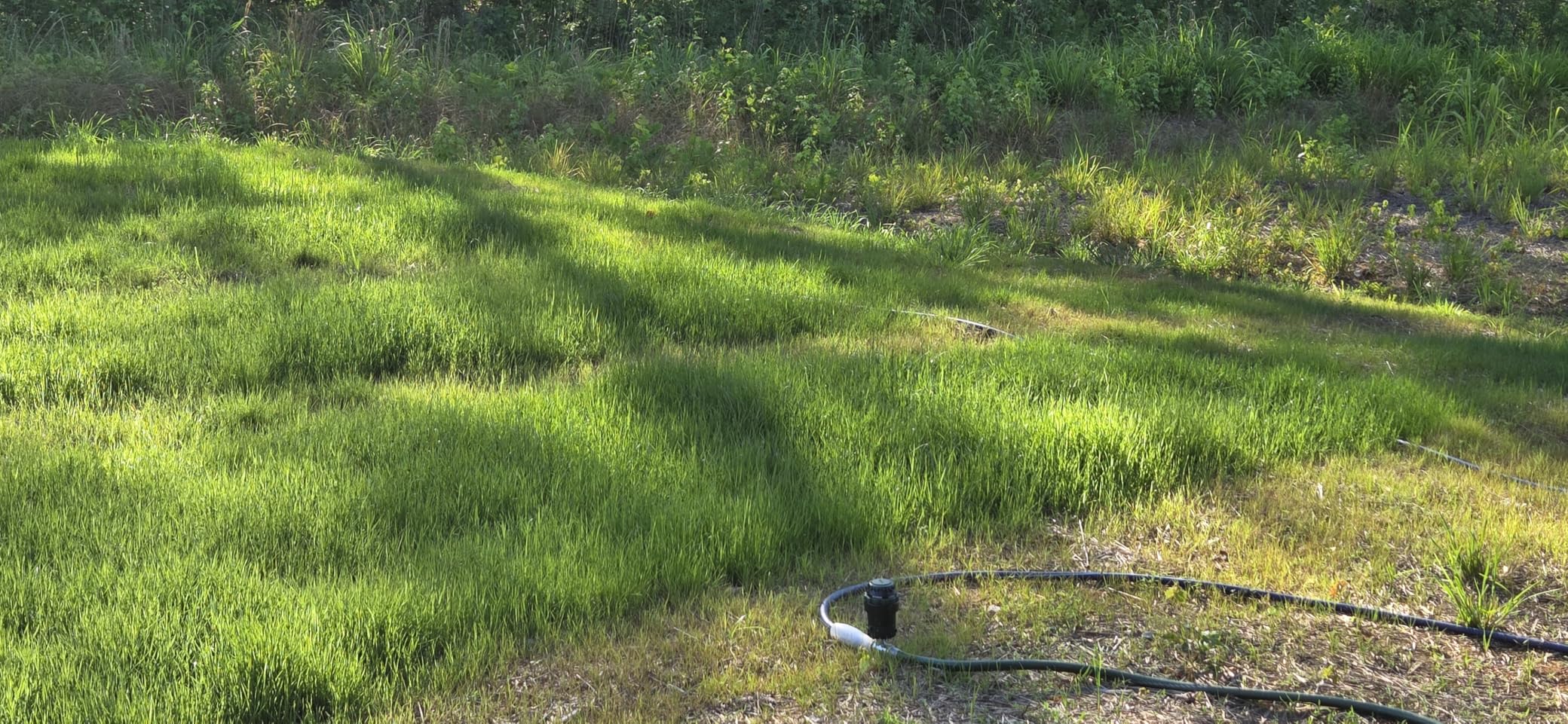 Orbit H2O-Six Gear-Drive Sprinkler on Metal T-Spike - Customizable Lawn Watering Coverage - Multi-Pattern Rotating Head with Adjustable Spray Range customer photo 2