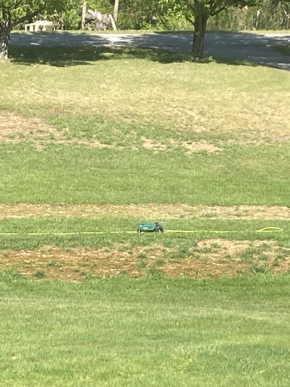 Orbit Traveling Tractor Water Sprinkler - Self-Propelled Traveling Sprinkler for Wide Lawn Coverage - Cast-Iron Body with Adjustable Coverage - Three-Speed customer photo 2