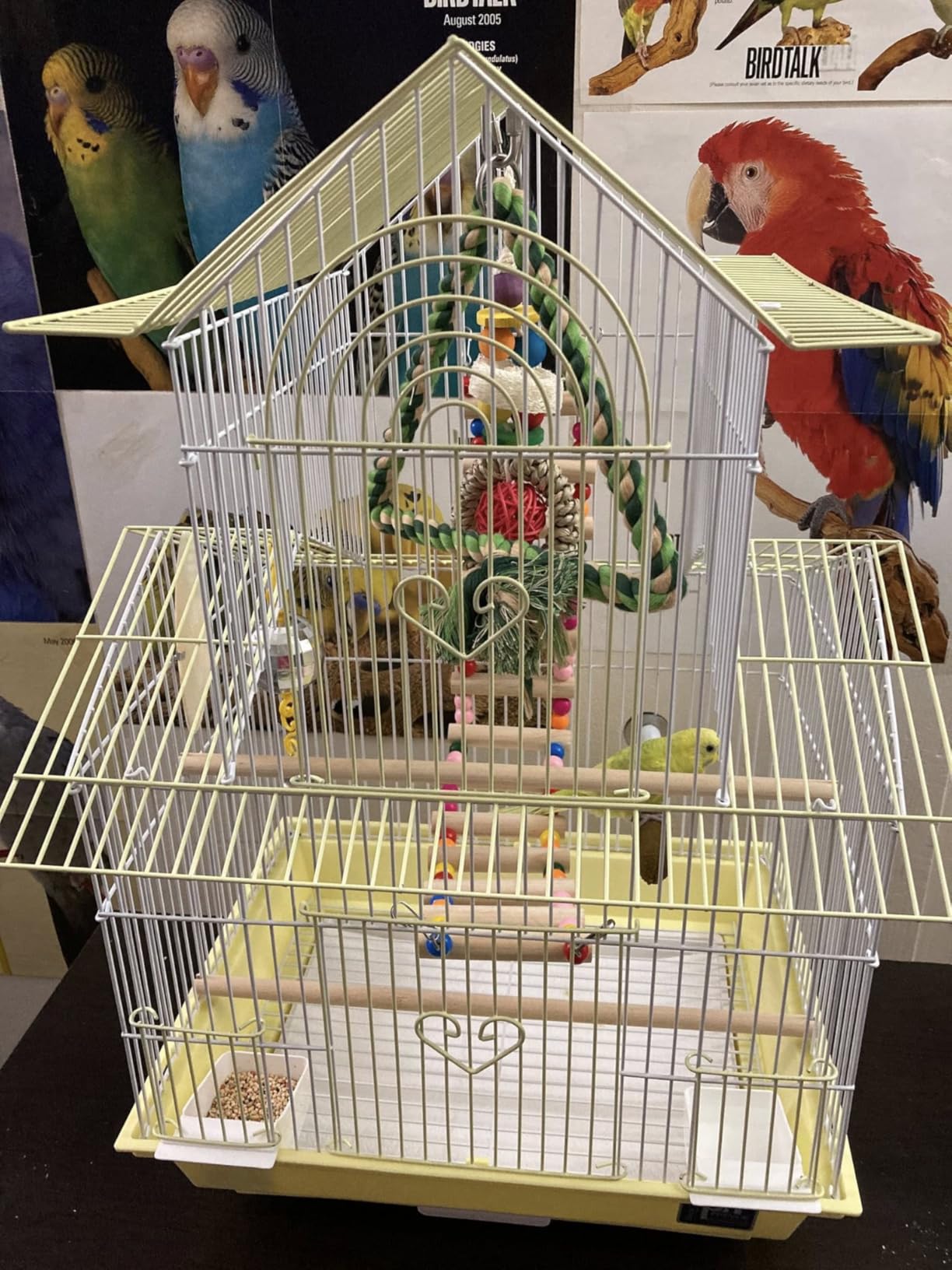 Prevue Hendryx SP1720-1 Shanghai Parakeet Cage, Yellow and White customer photo 1