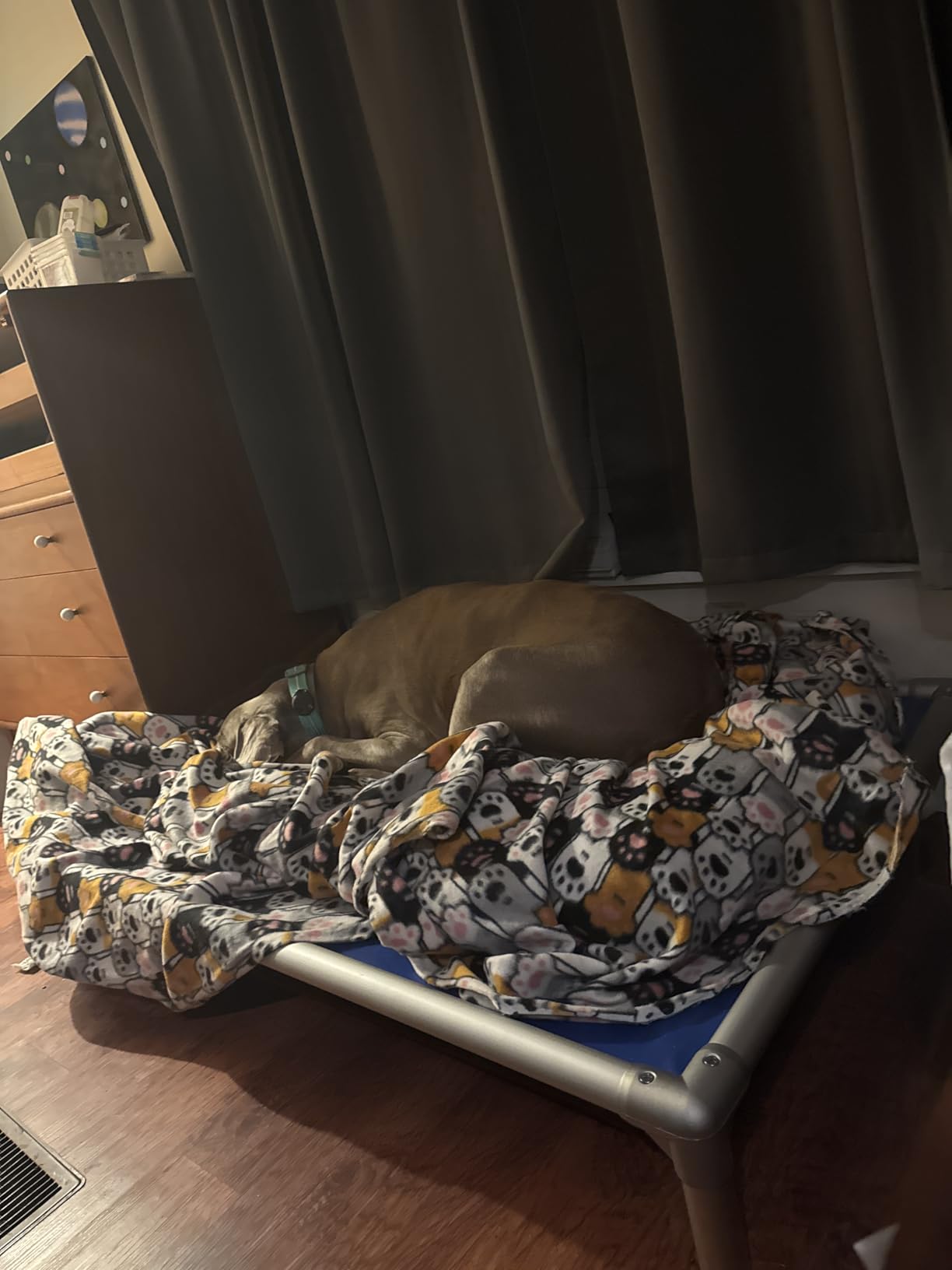 Kuranda Chewproof Elevated Dog Bed - Silver Aluminum - 44