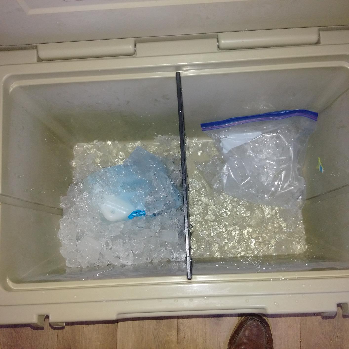 YETI Tundra 105 Cooler, Desert Tan customer photo 2