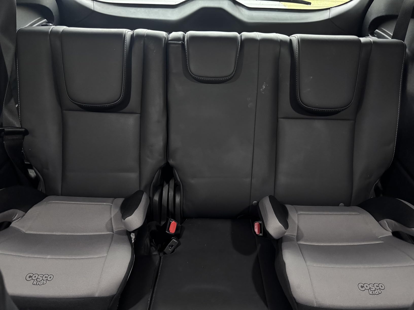 Cosco Topside Backless Booster Car Seat, Lightweight Booster Seats for Cars 40-100 lbs, Leo customer photo 2