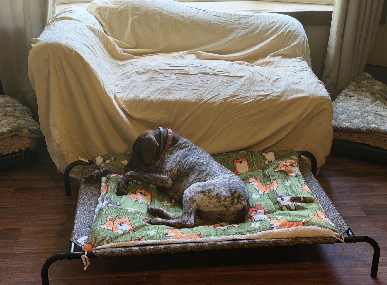 Coolaroo Original Elevated Dog Bed - Breathable Off-The-Ground Pet Bed with Cooling Fabric, Joint Relief & Moisture-Resistant Fabric, 100% Recyclable, Easy Clean, Nutmeg, Large customer photo 1
