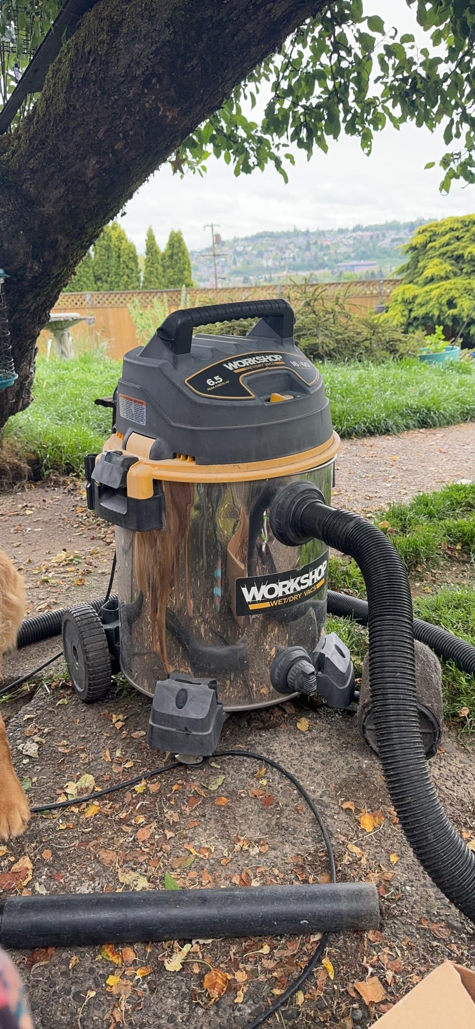 WORKSHOP Wet/Dry Vacs WS1600SS 16-Gallon 6.5 Peak HP Wet Dry Vacuum Cleaner | Stainless Steel Shop Vacuum with Filter, Dust Bag, Hose, Attachments and Cart for Heavy duty Professional Cleaning customer photo 1