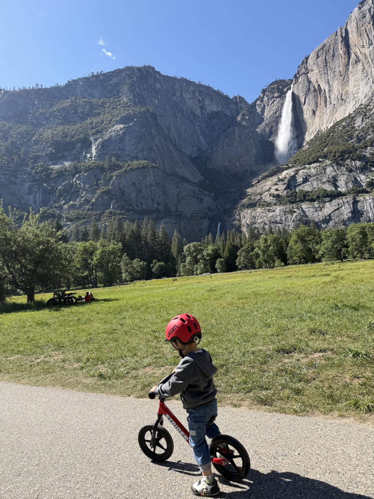 Strider 12 Sport, No Pedal Balance Bike for Kids Ages 1-4 Years, Blue | No-Pedal Balance Bike for Toddlers, Safety Pad, Adjustable Seat and Handlebars, Lightweight Frame, Never-Flat Tires customer photo 1