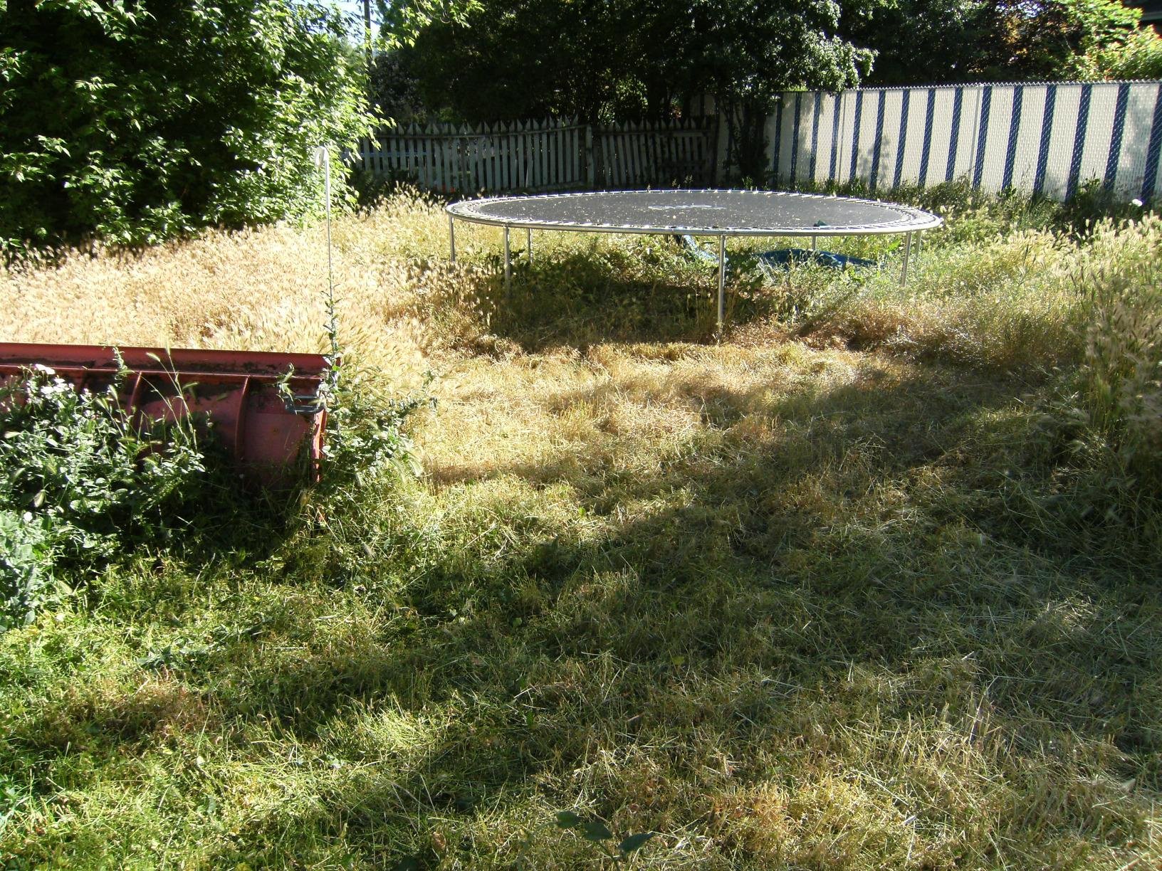 BLACK+DECKER 40V MAX String Trimmer and Lawn Edger, 13 Inch Weed Eater, Far Reach (LST136B) customer photo 1