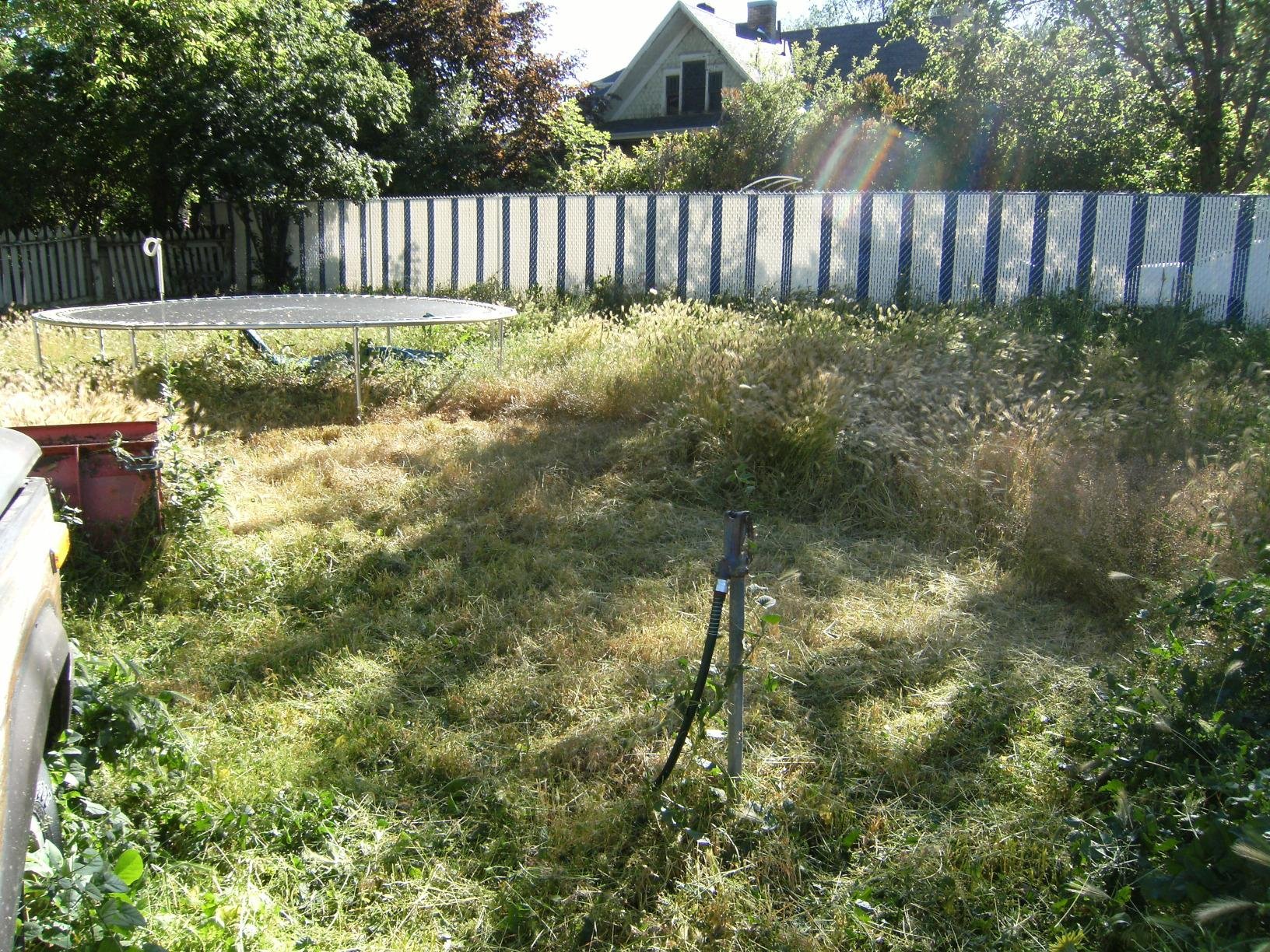 BLACK+DECKER 40V MAX String Trimmer and Lawn Edger, 13 Inch Weed Eater, Far Reach (LST136B) customer photo 2