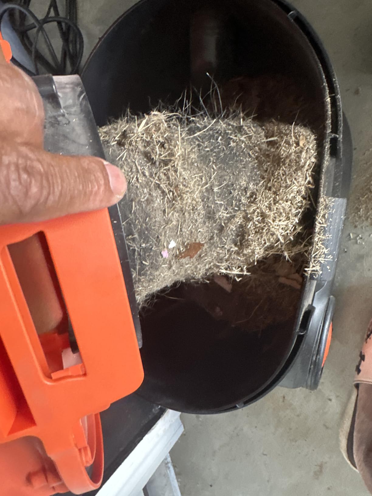 Armor All AA255W Wet/Dry Utility Vac 2.5 Gallon, 2.5-Gallon, 120 Volts (AC), Orange/Black customer photo 2
