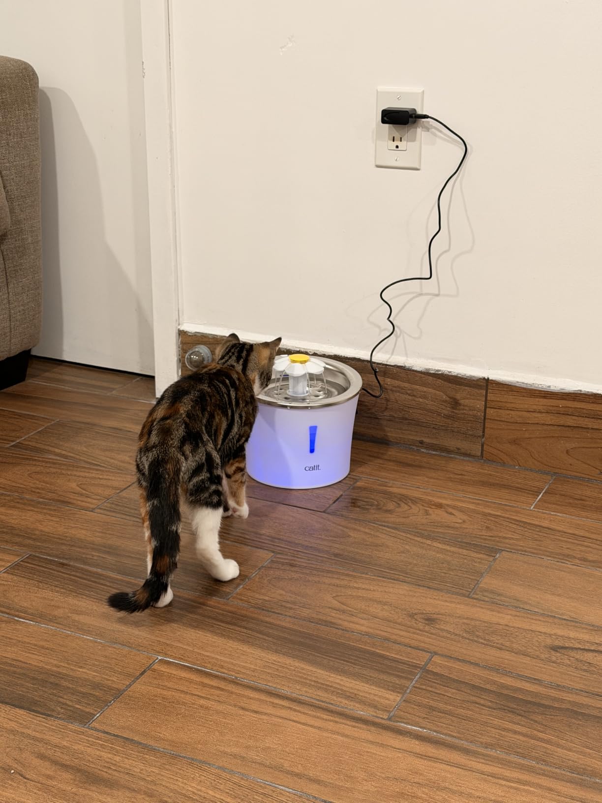 Catit Flower Fountain with Triple Action Filter, 3 L, Green customer photo 2
