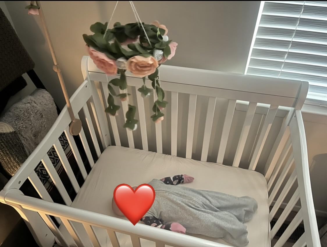 Dream On Me Aden 4-in-1 Convertible Mini Baby Crib in Grey, GreenGuard Gold & JPMA, Sustainable Pinewood, Non-Toxic Finish, 3 Mattress Heights, Converts to Mini Day & Twin-Size Bed customer photo 2