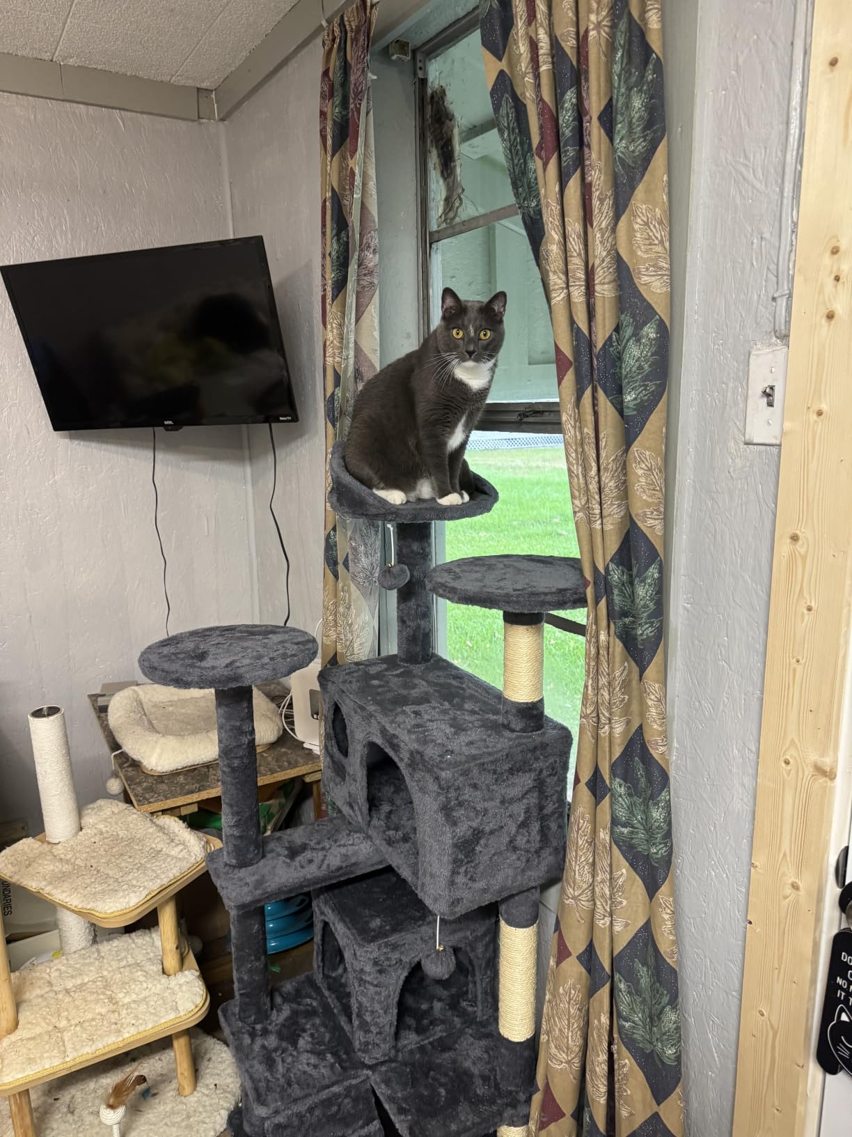 Yaheetech 54in Cat Tree Tower, 2 Caves, Kitten-Ear Perch & Scratching Posts | Multi-level layout, climbing ladder, easy assembly, high pet appeal, total load 66lbs for all indoor cats, dark gray customer photo 2