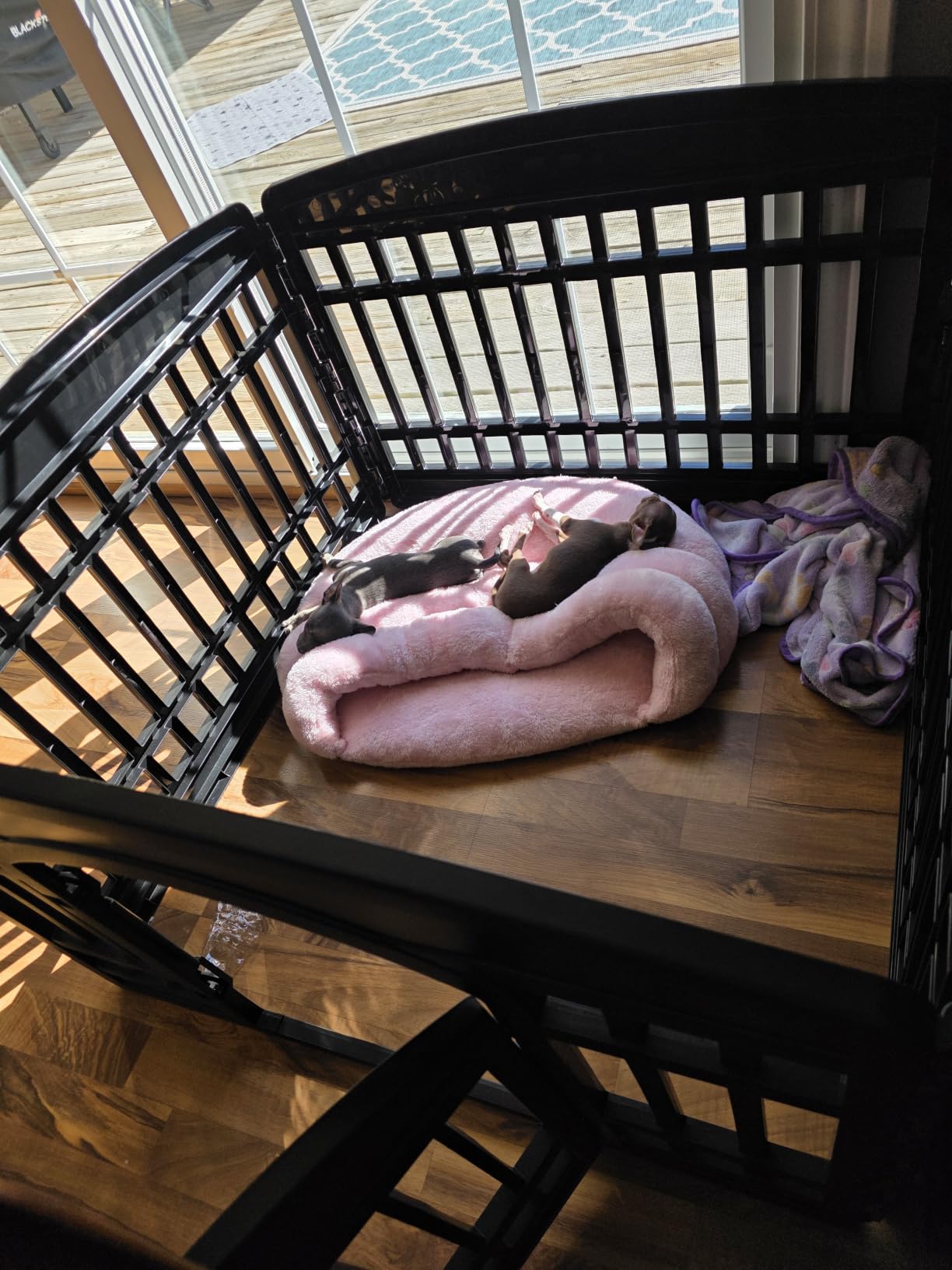 IRIS USA 4-Panel Dog Playpen, Pet Enclosure, White, Puppy Training, Configurable Layout, Secure Door Latch, Stable Non-Tip Base customer photo 1