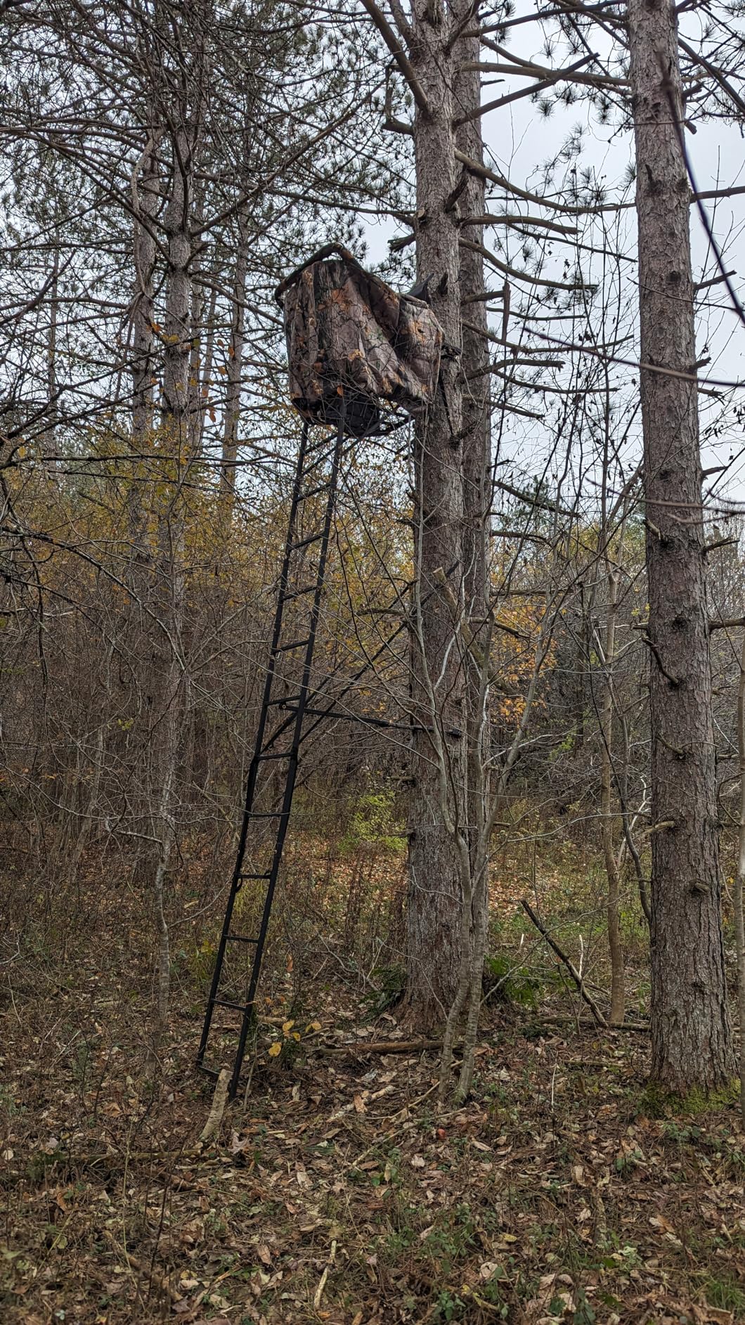 MUDDY 1-Person Huntsman Deluxe Steel Ladder Tree Stand, 17 ft Tall customer photo 1