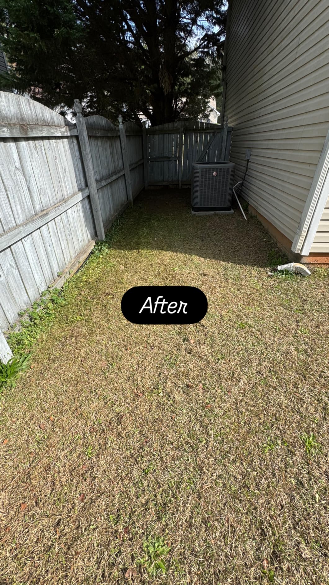 American Lawn Mower 50514 14