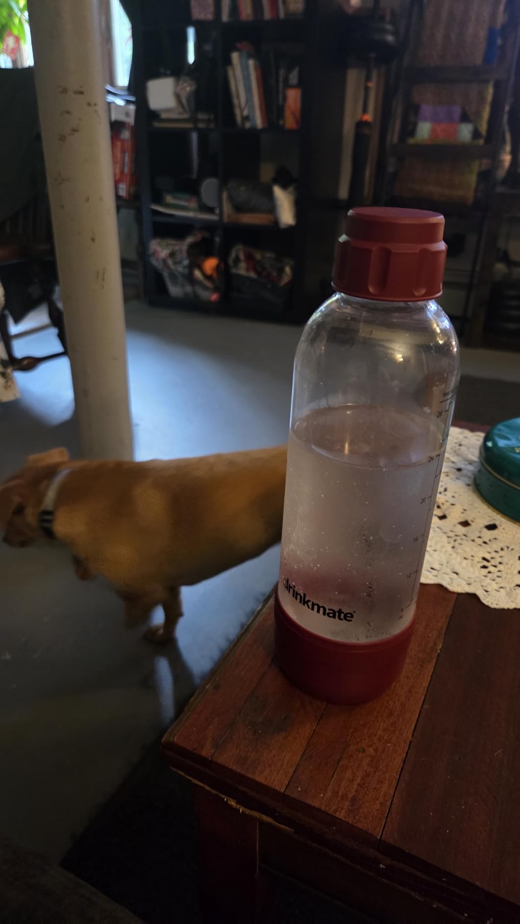 Drinkmate OmniFizz Sparkling Water Maker & Soda Streaming Machine | Carbonates Any Drink | STARTER KIT | Includes One 60L CO2 Cartridge + One BPA-Free Bottle (Royal Red) customer photo 1