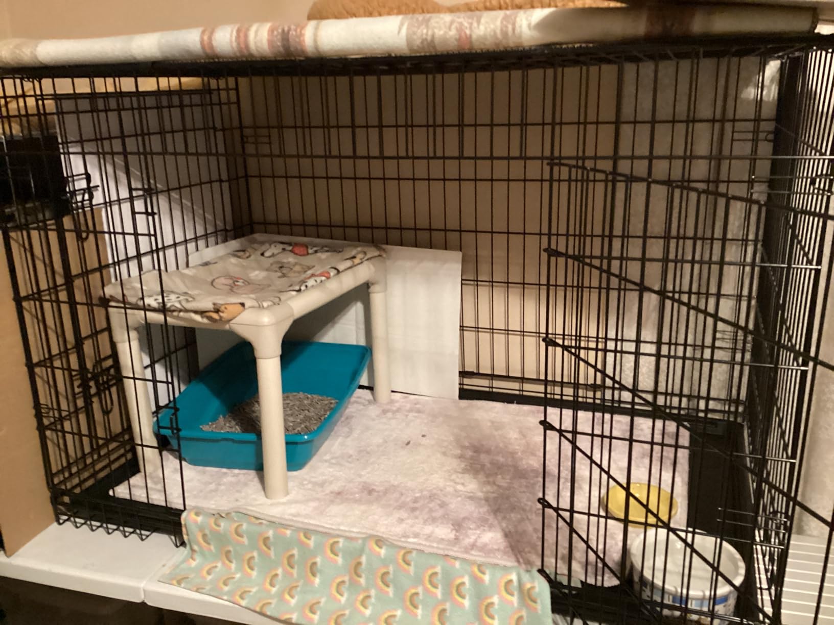 BestPet 48