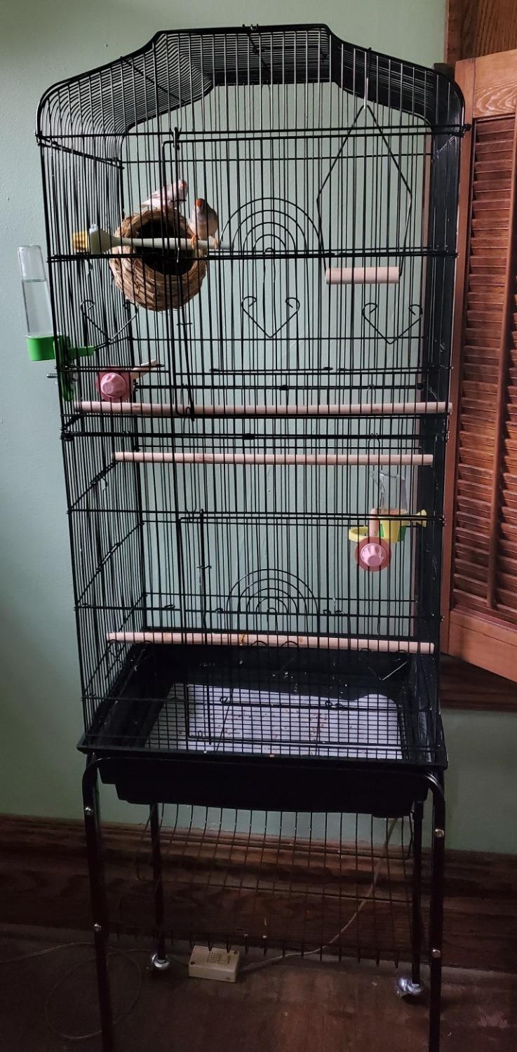 SUPER DEAL 59.3 Rolling Bird Cage Large Wrought Iron Cage for Cockatiel Sun Conure Parakeet Finch Budgie Lovebird Canary Medium Pet House with Rolling Stand & Storage Shelf customer photo 1