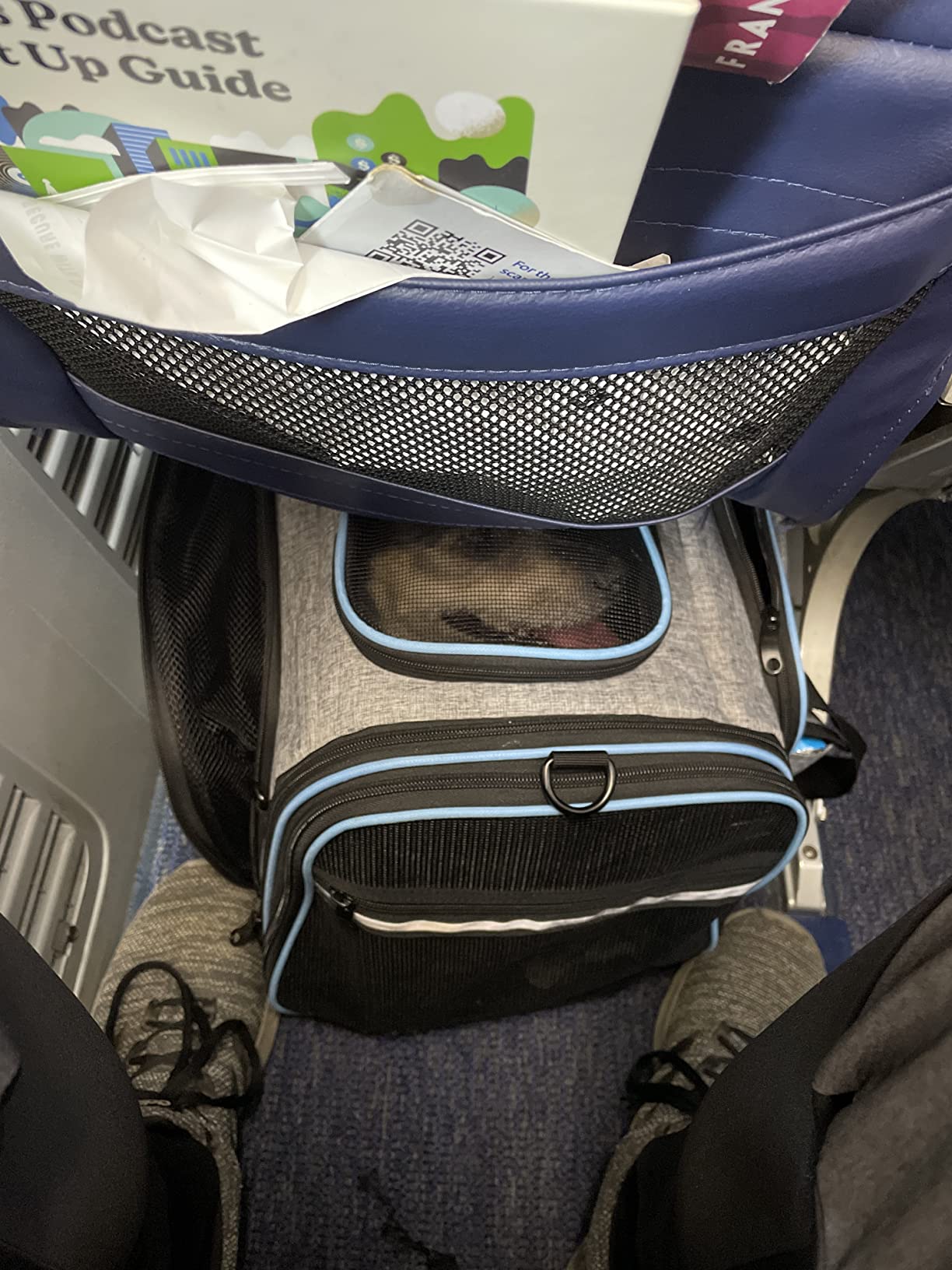 Airline Approved Pet Carrier, Large Soft Sided Pet Travel TSA Carrier 4 Sides Expandable Cat Collapsible Carriers with Removable Fleece Pad and Pockets for Cats Dogs and Small Animals customer photo 2