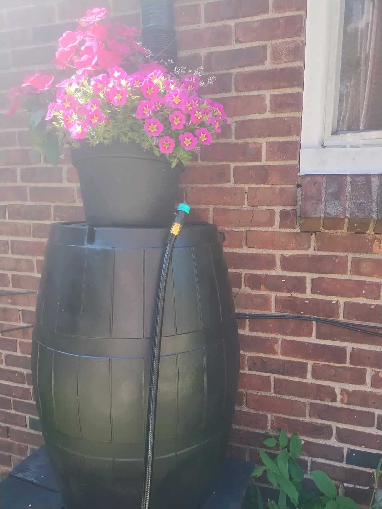FCMP Outdoor Rain Barrel, Flat-Back Rainwater Catcher with Spigots, 50 Gallon, Black - Portable Water Storage Container Tank for Home, Garden, and Backyard customer photo 1