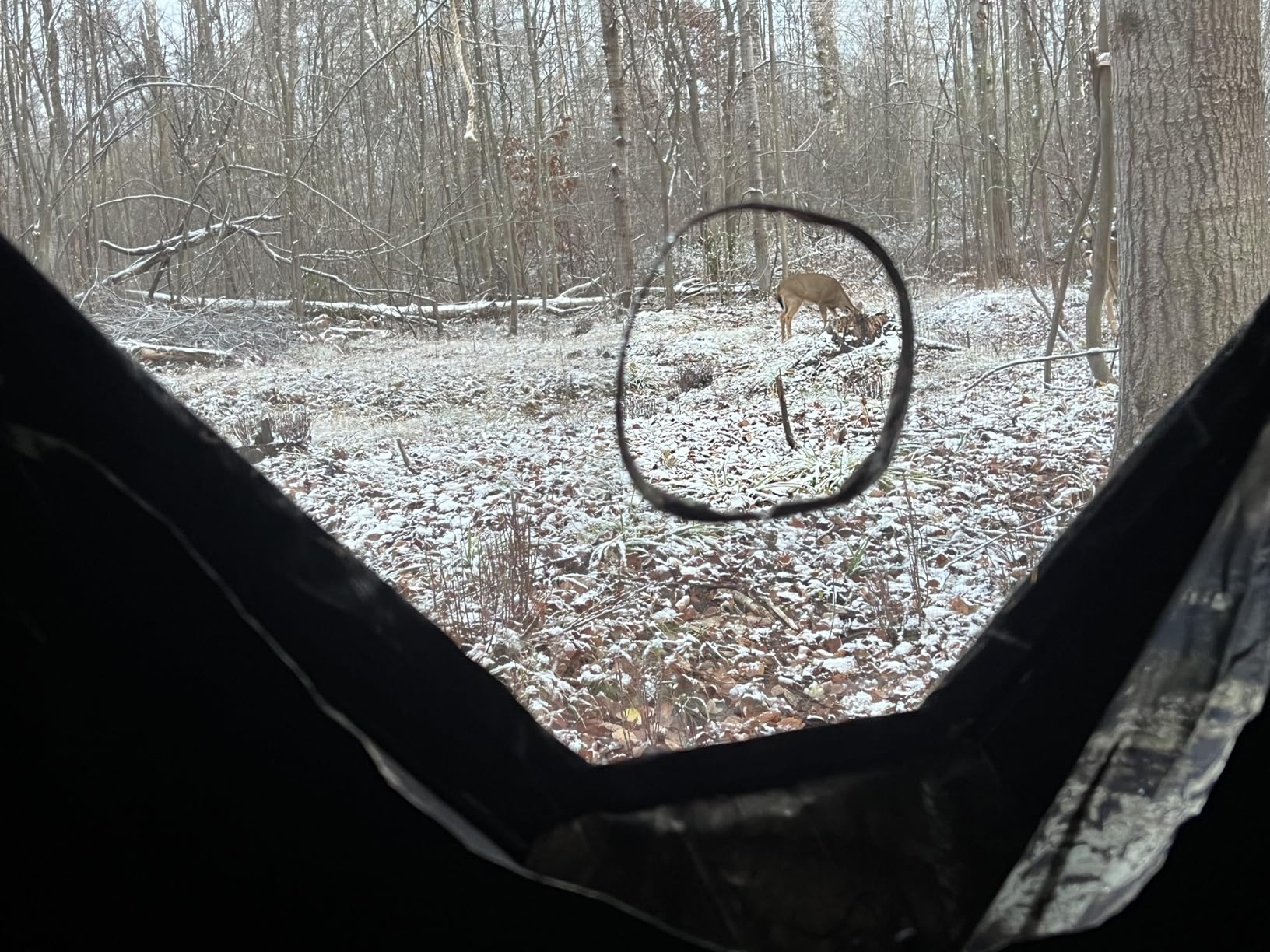Ameristep Brickhouse Hunting Blind | 3-Person Ground Blind in Mossy Oak Break-Up Country customer photo 1