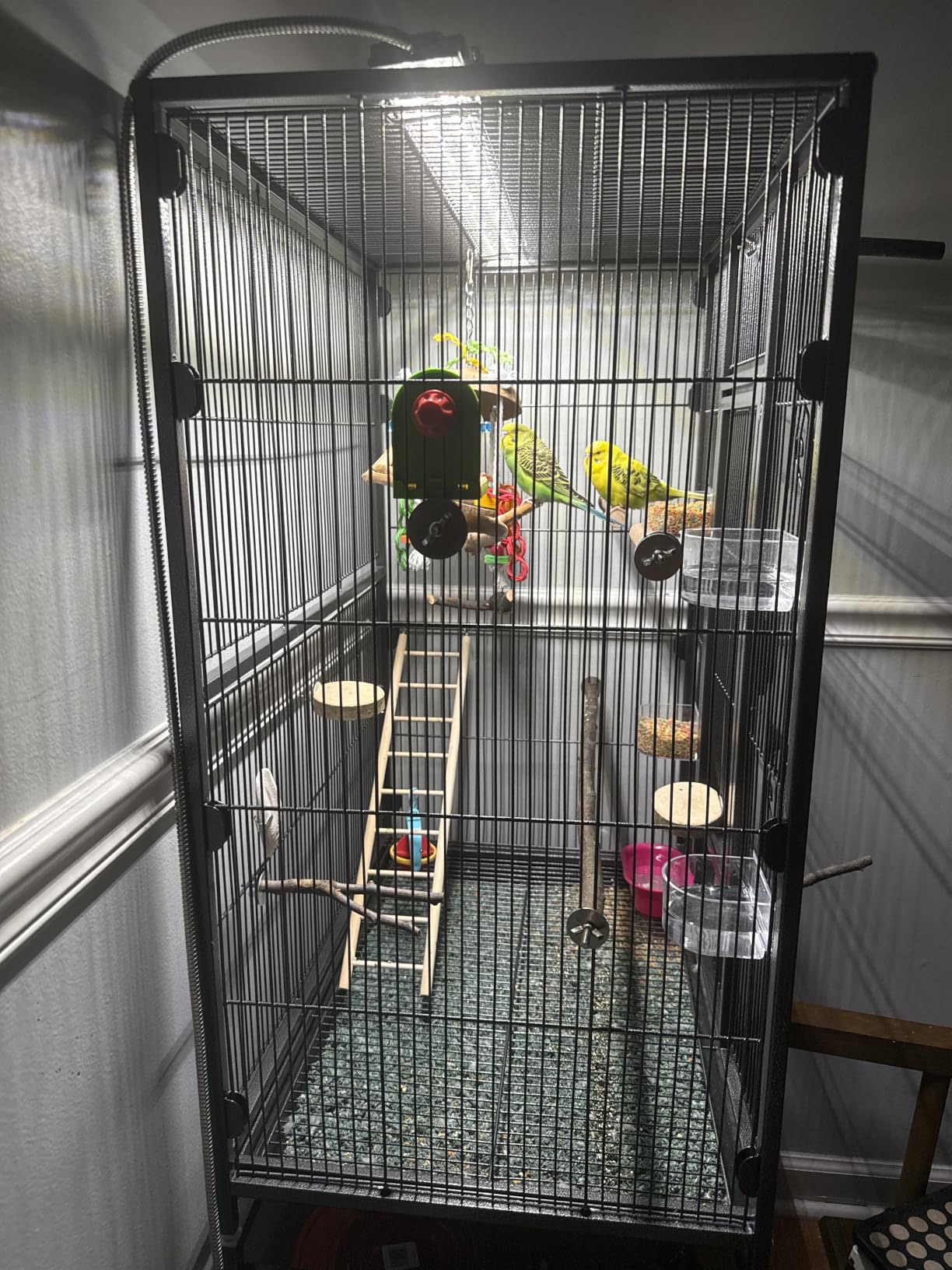 VIVOHOME 54 Inch Wrought Iron Large Bird Flight Cage with Rolling Stand for Parakeets Canaries Cockatiels Lovebirds Conures, Black customer photo 1